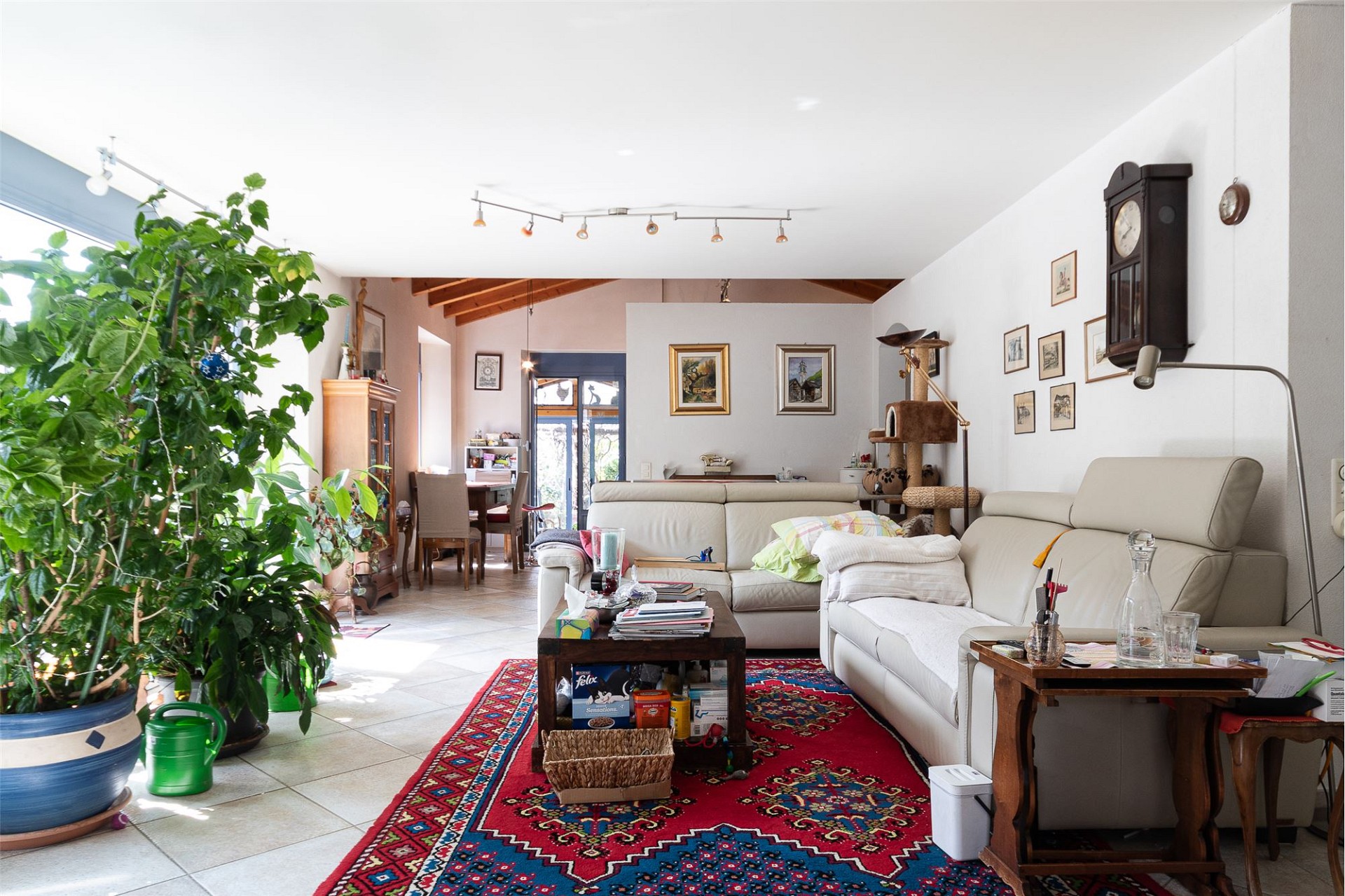 Helles Wohnzimmer mit Essbereich