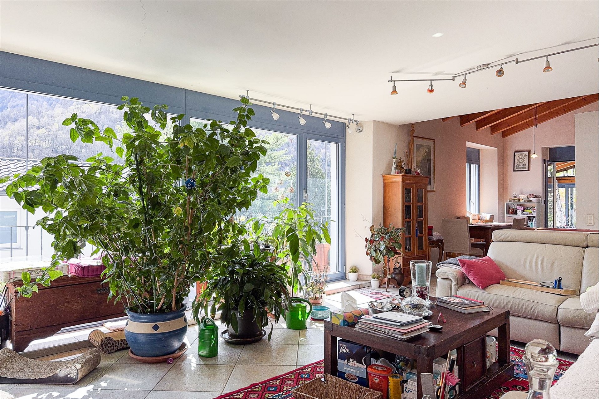 Wohnzimmer mit großen Fensterfronten und viel Tageslicht