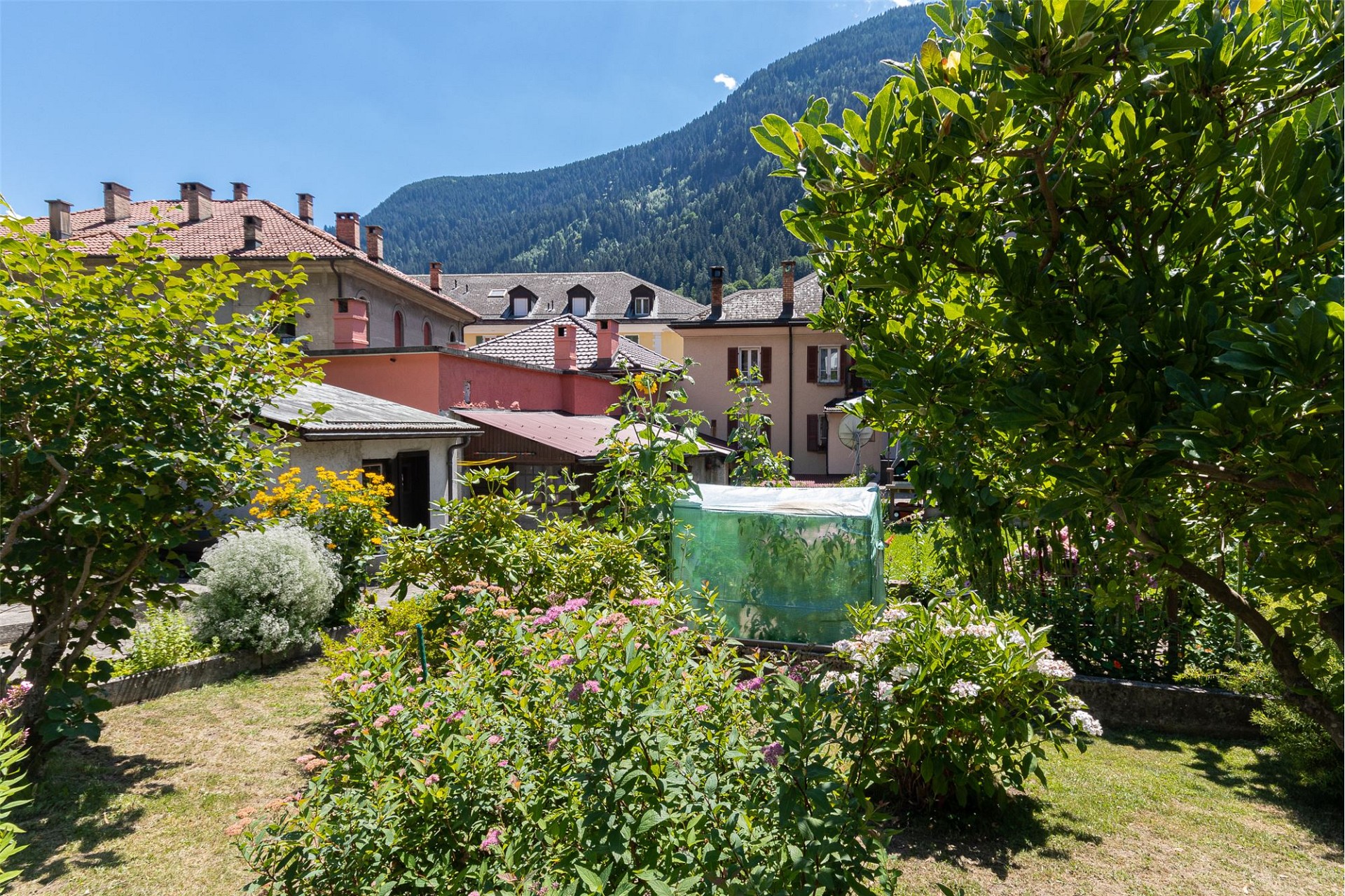 Garten mit Bergblick