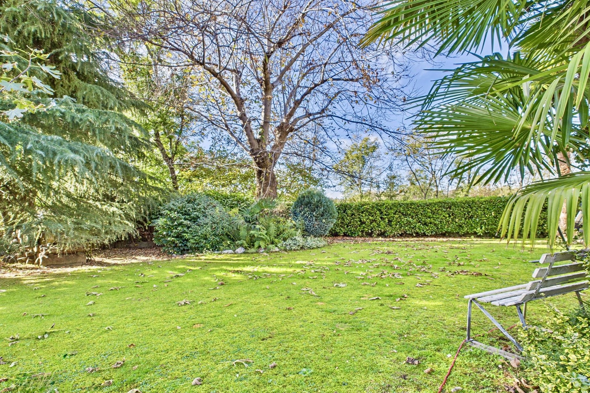 Großer Garten mit gepflegtem Rasen und altem Baumbestand