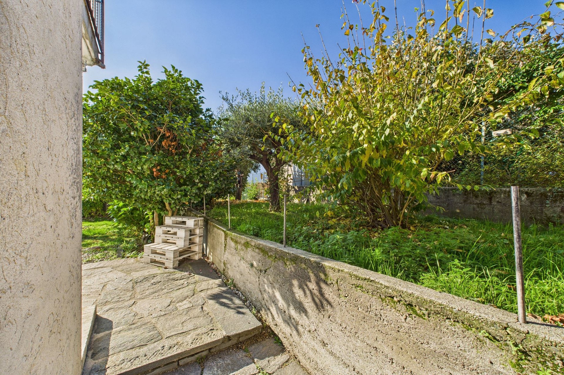 Gartenbereich mit Terrasse und Bepflanzung