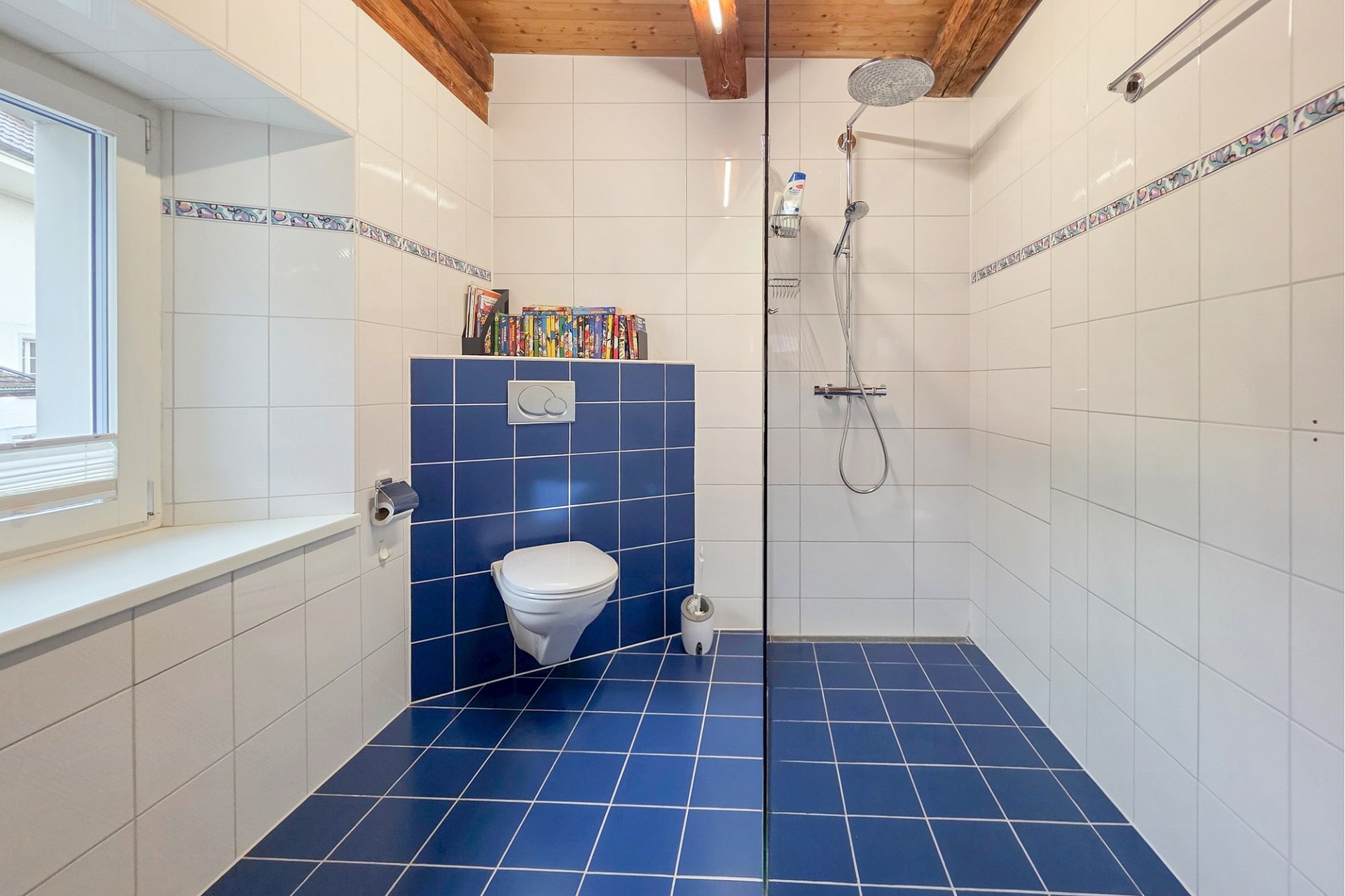 Badezimmer mit Dusche und WC