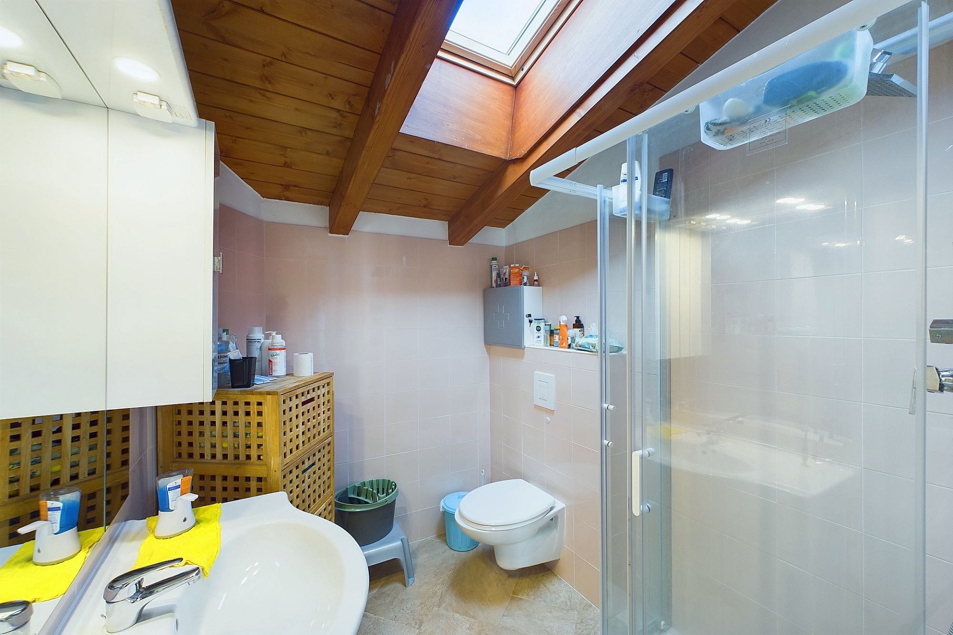 Badezimmer mit Dachfenster und Dusche