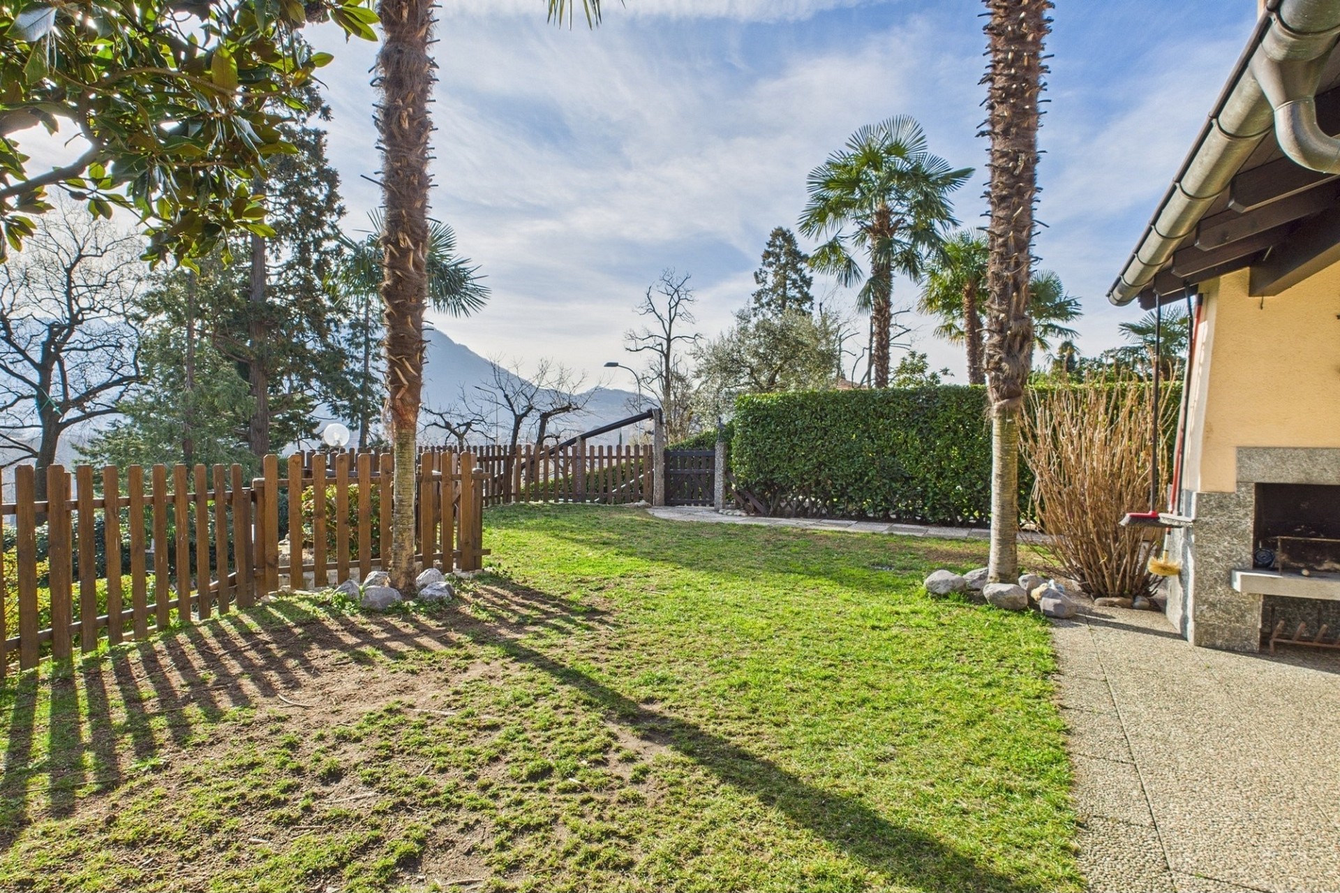 Garten mit Palmen und Terrasse