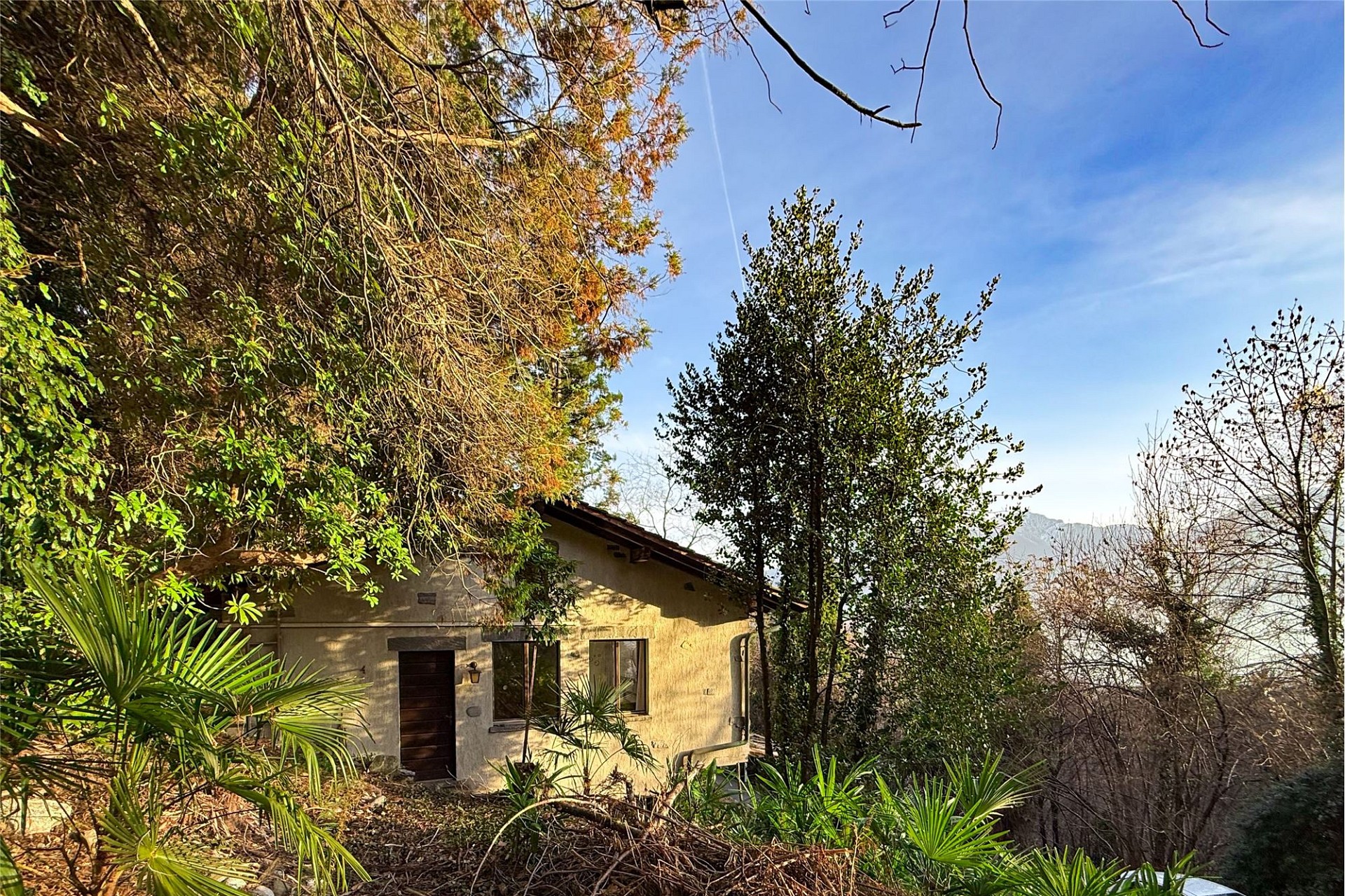Haus in bewachsener Hanglage