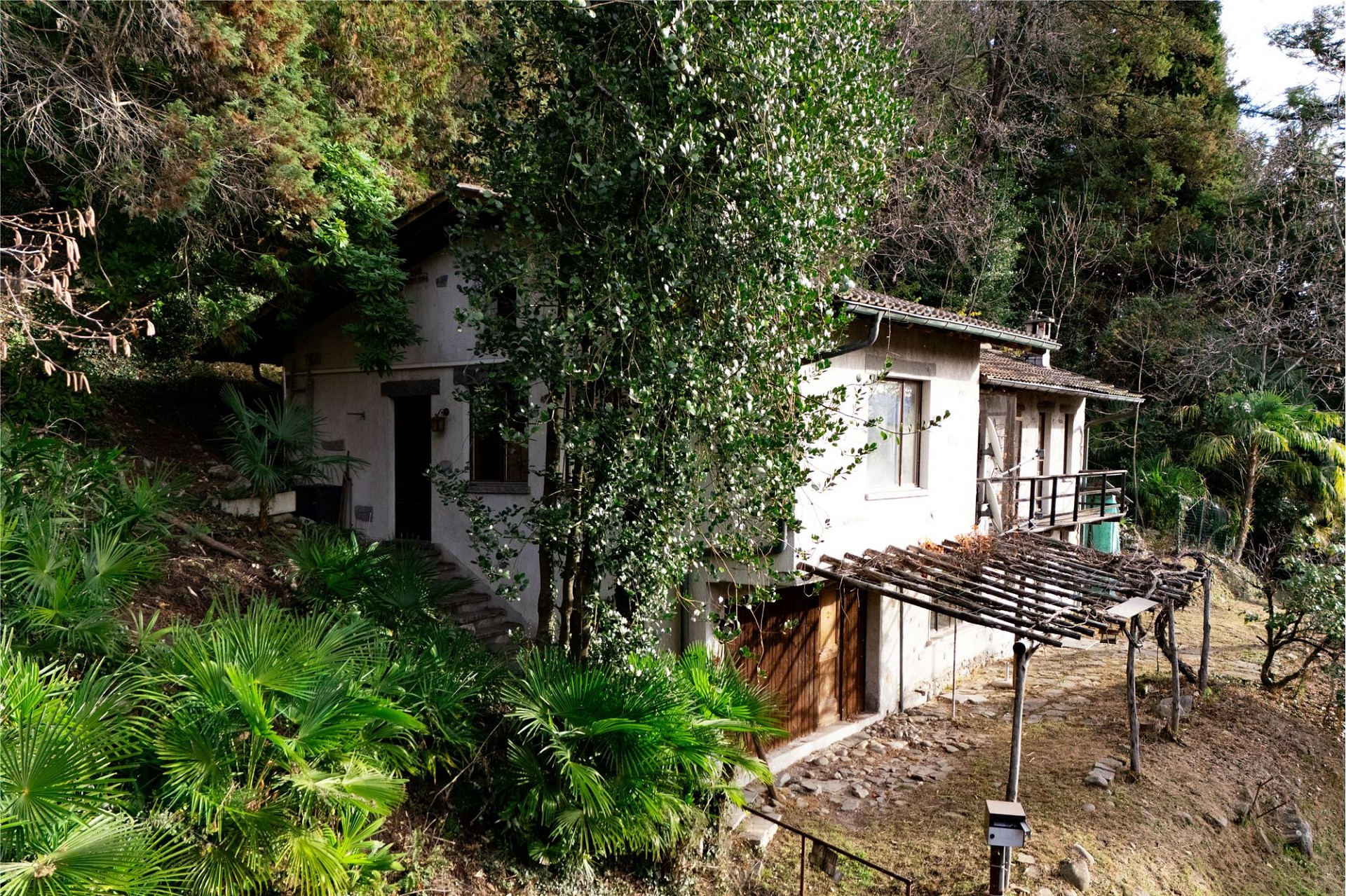 Bewachsenes Haus in Hanglage