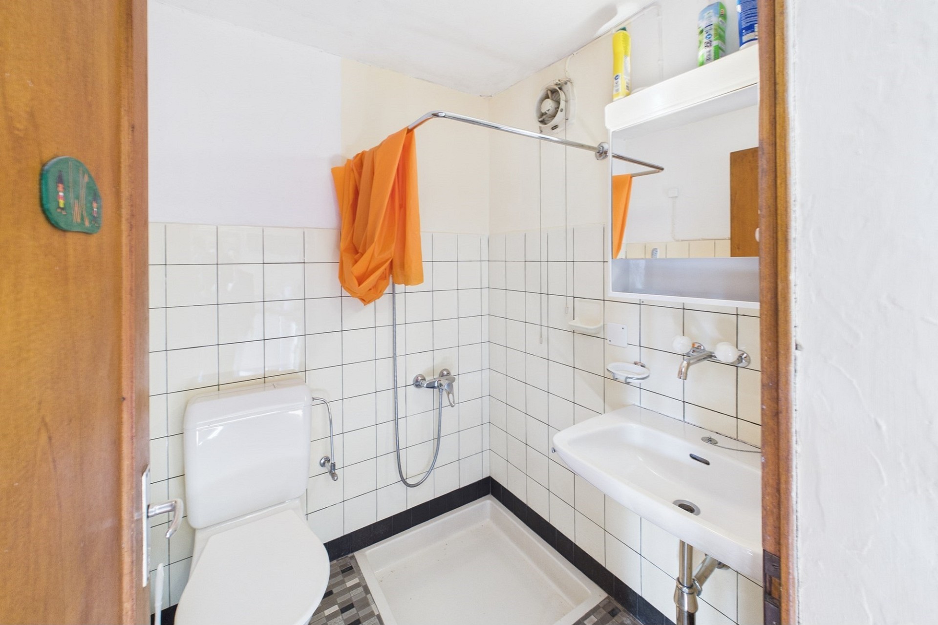 Kleines schlichtes Badezimmer mit Dusche und WC