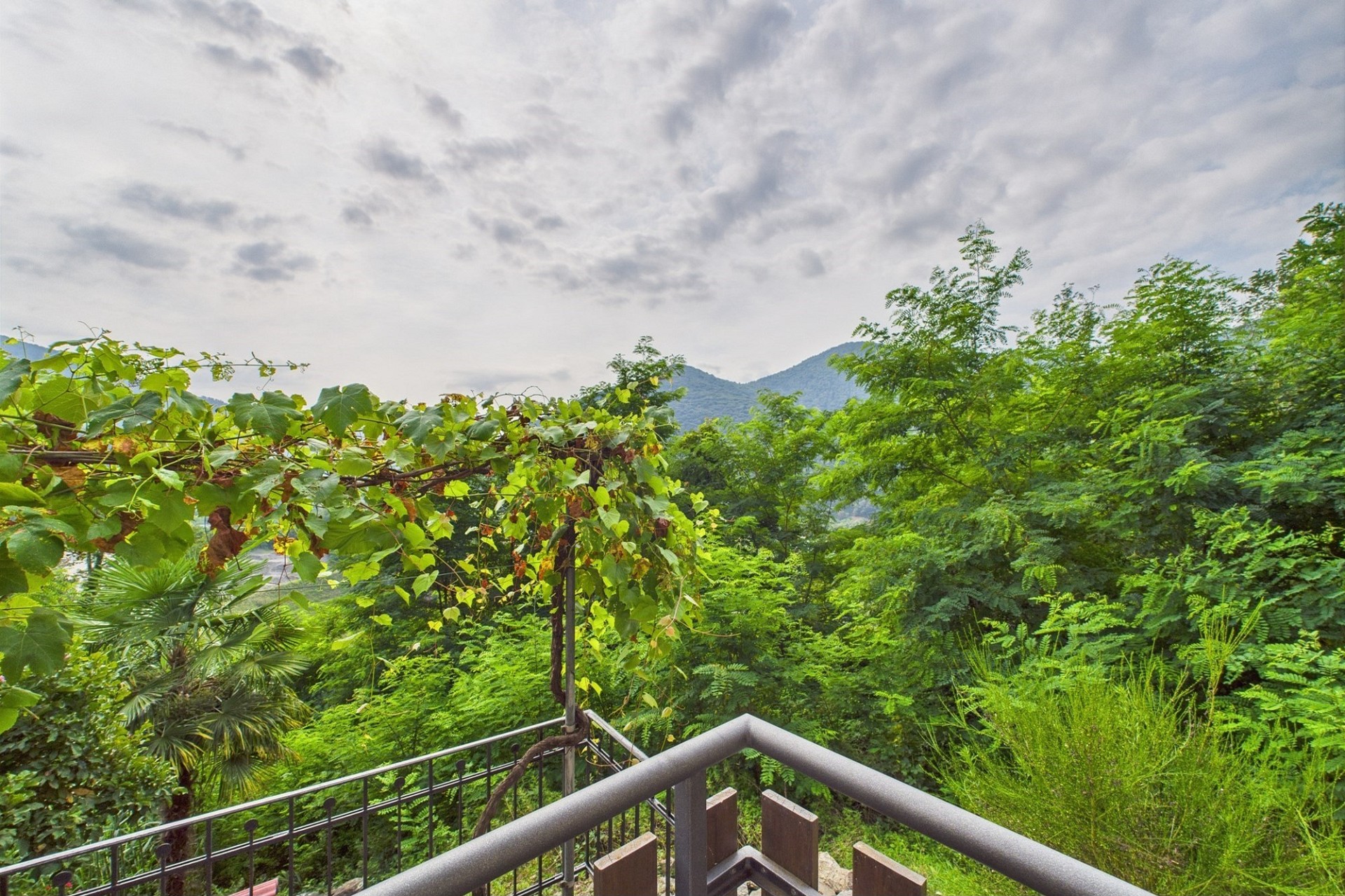 Balkon mit Blick ins Grüne