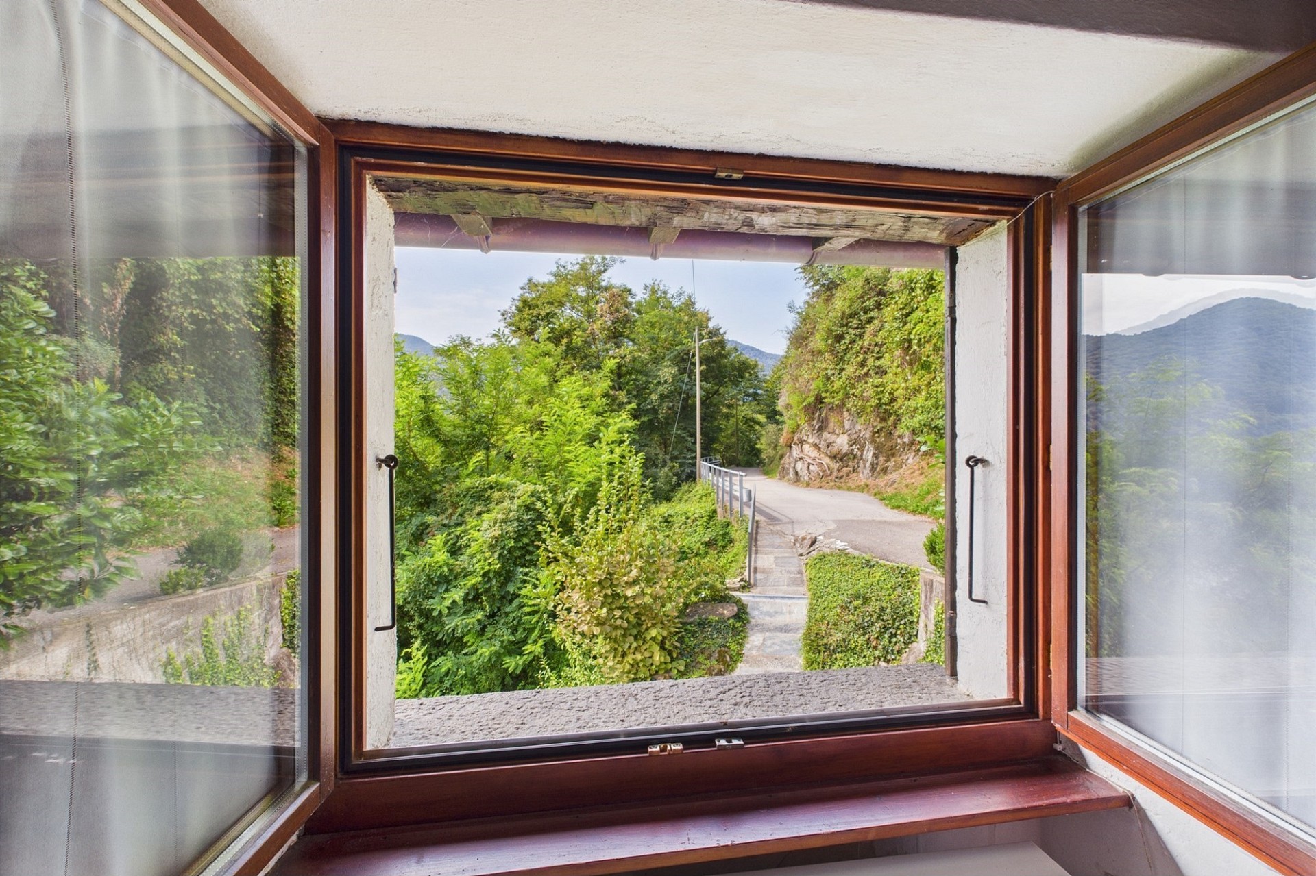 Fensterblick ins Grüne