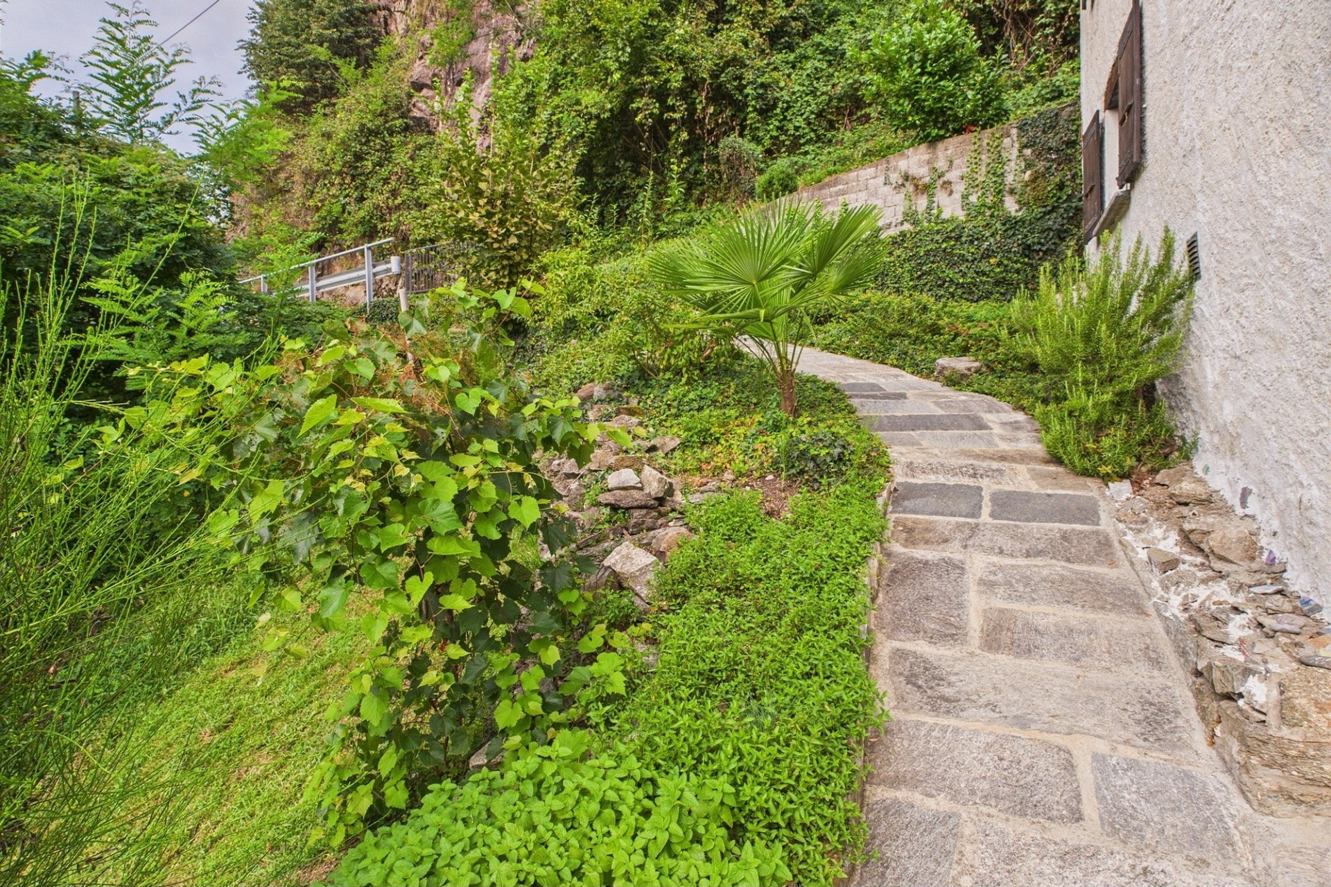 Üppiger Gartenweg am Haus