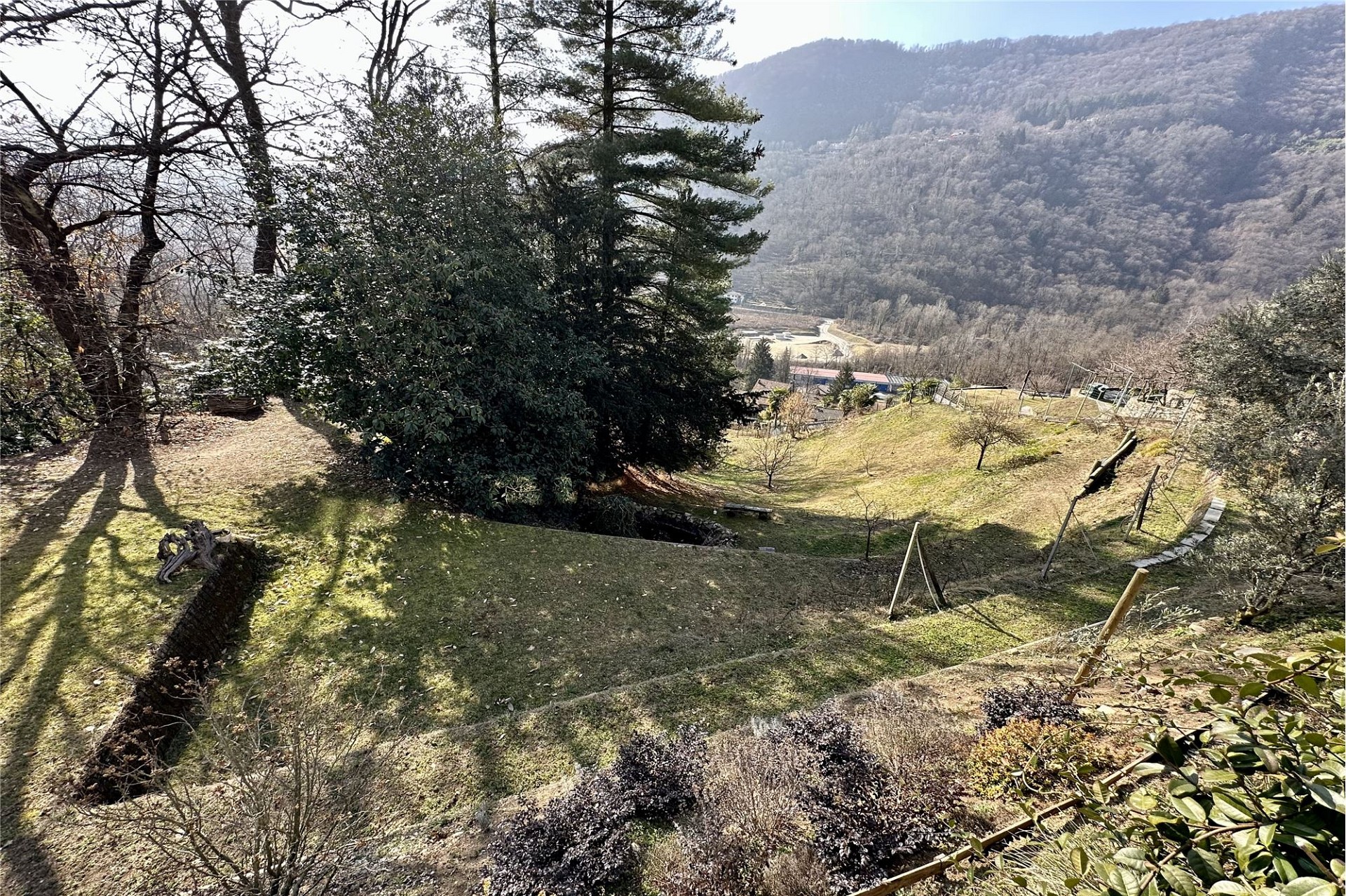 Hanglage mit Talblick