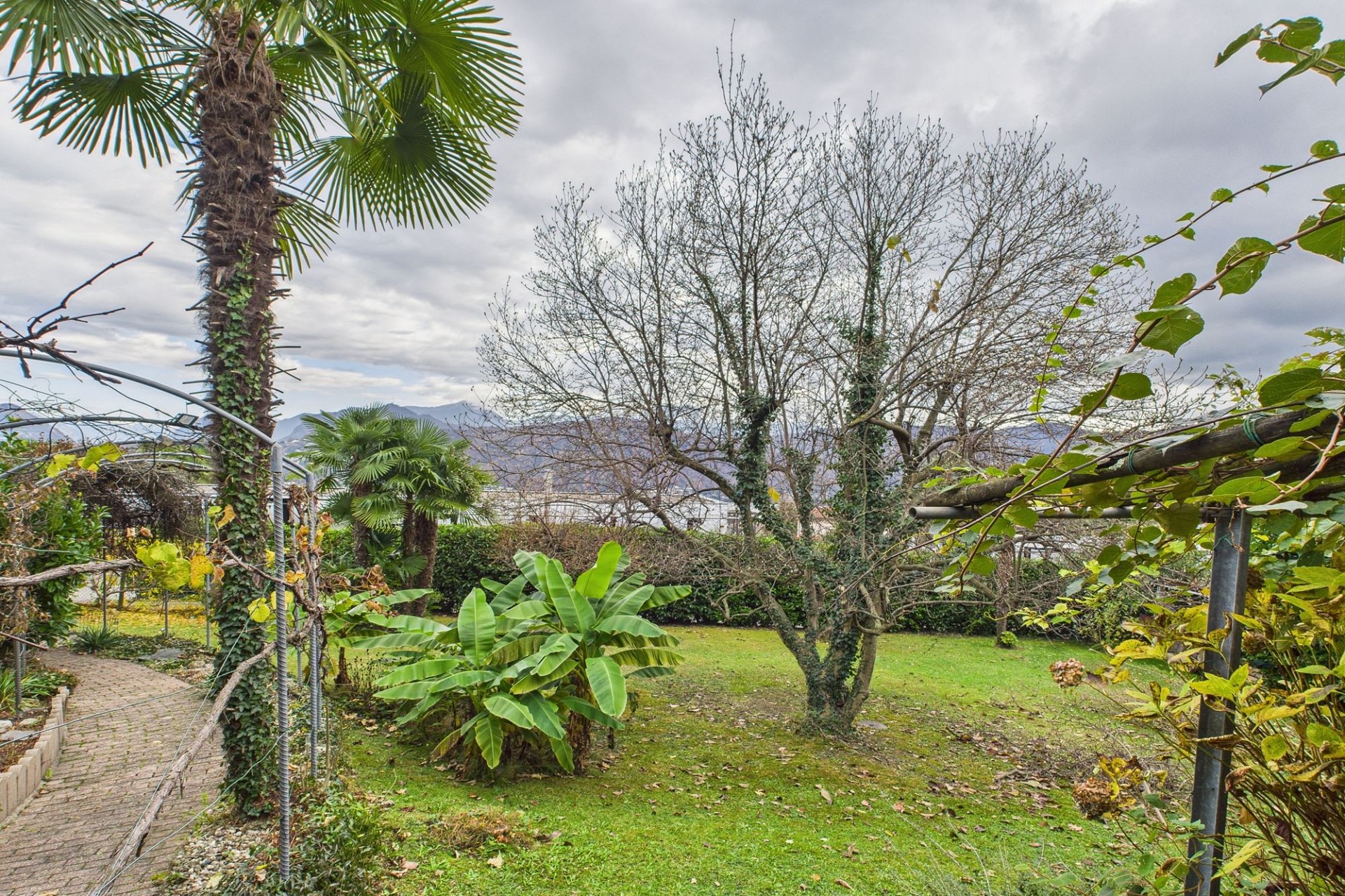 Tropisch bepflanzter Garten mit Blick in die Ferne