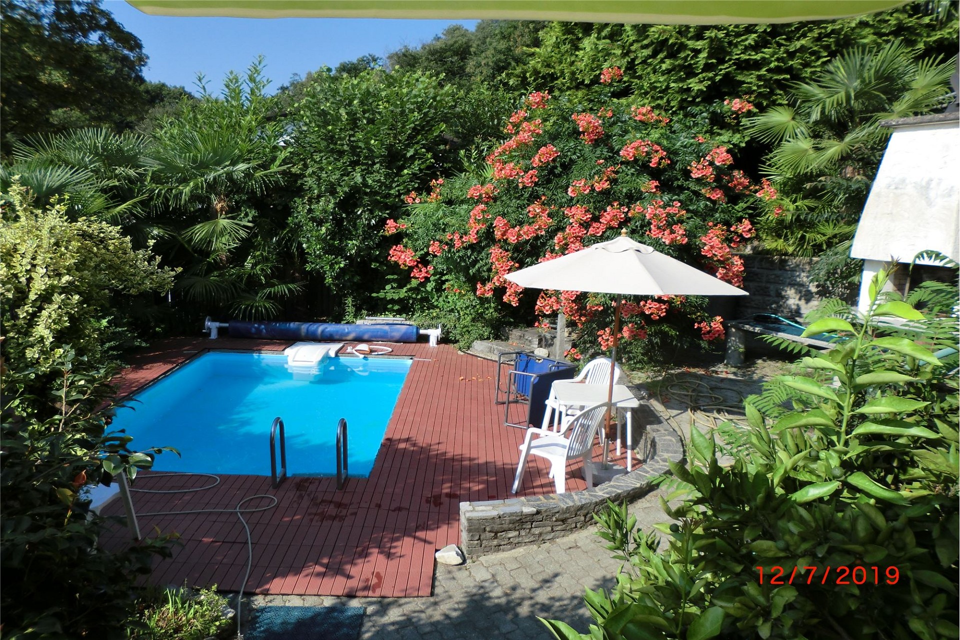 Garten mit Pool und Terrasse