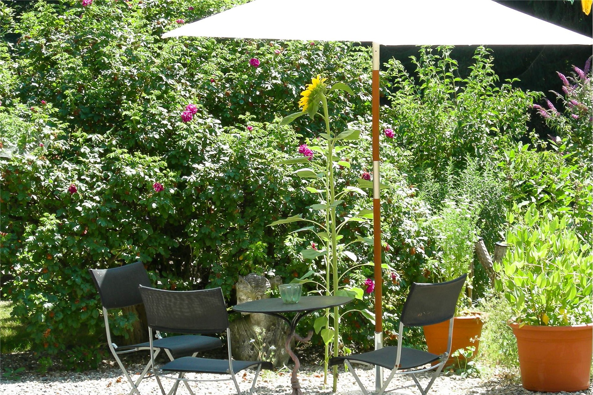 Gemütliche Garten-Sitzgruppe im Grünen