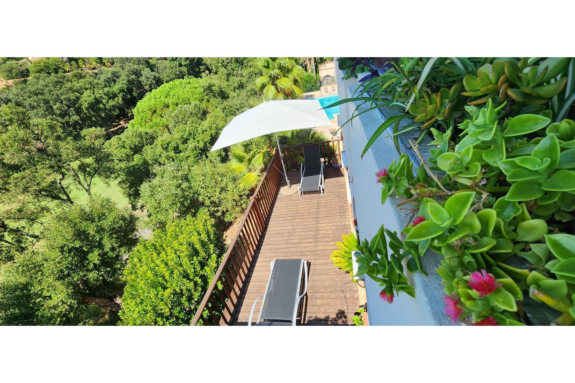 Terrasse mit Aussicht ins Grüne