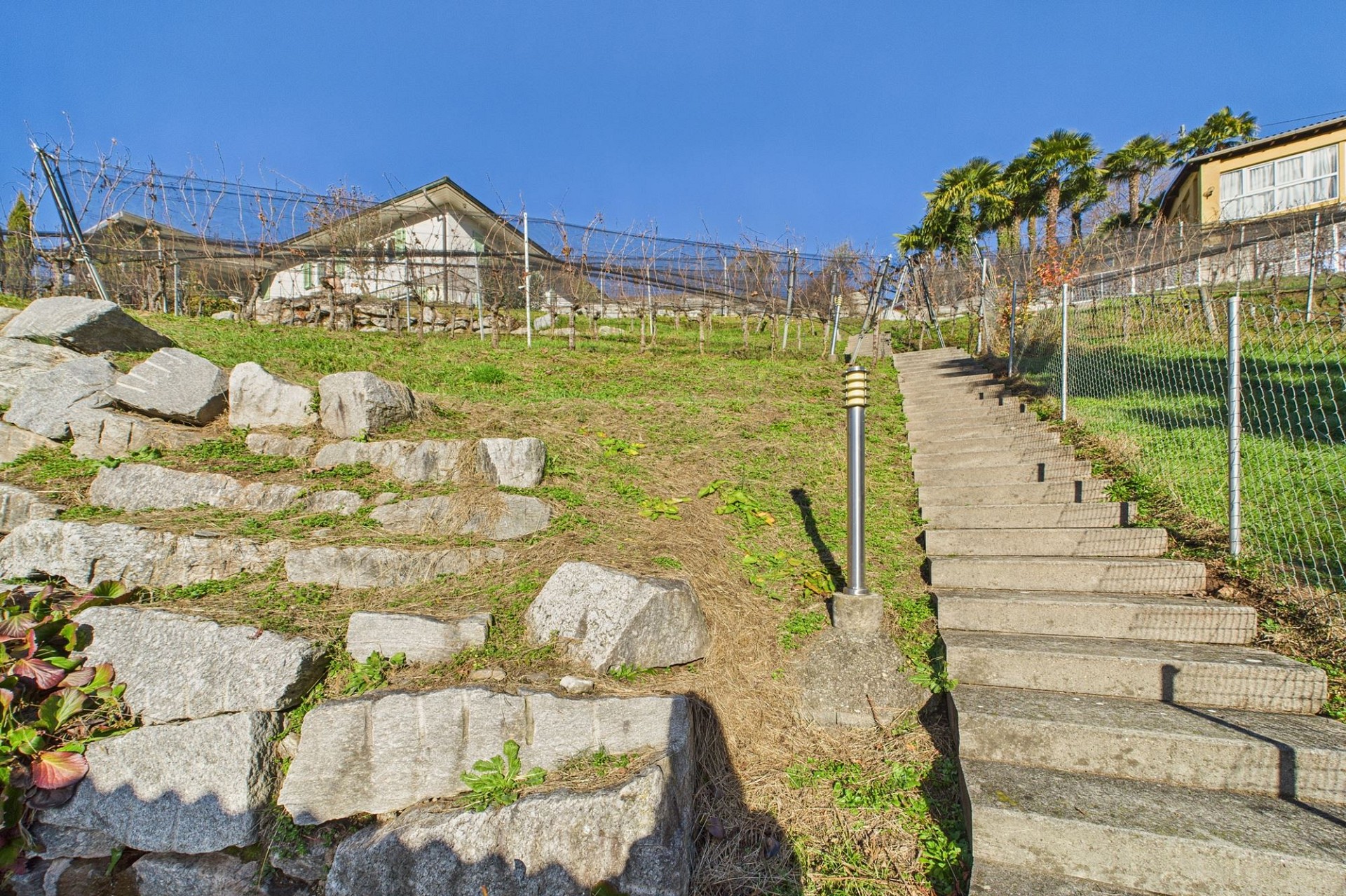 Hanglage mit Treppe und Garten
