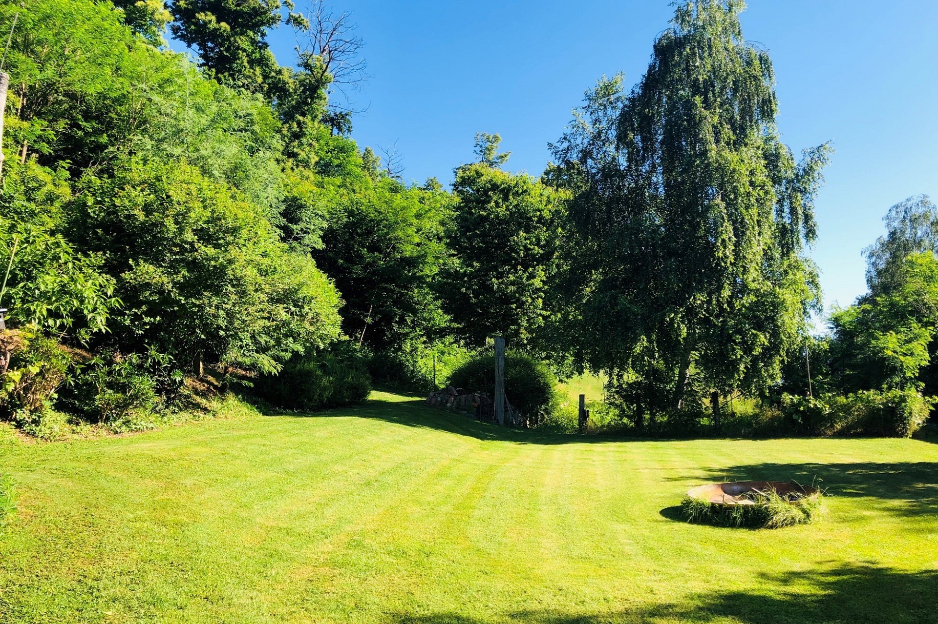 Große grüne Gartenfläche mit altem Baumbestand