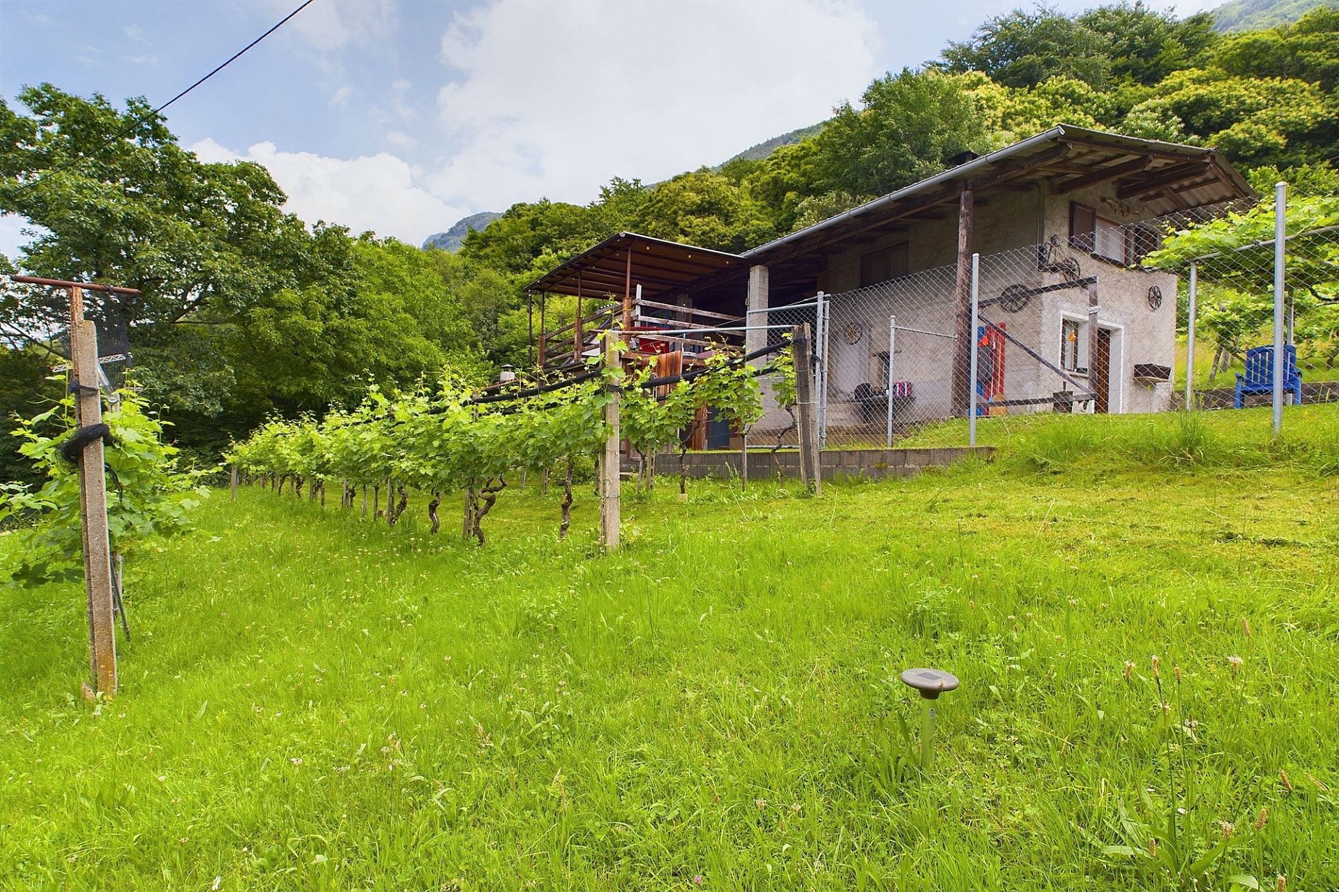 Ländliches Haus mit Weinberg und Hanglage