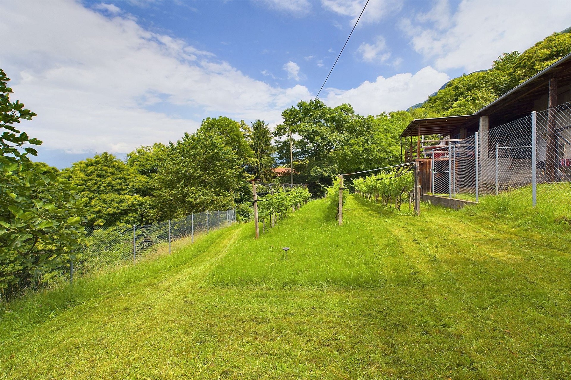 Ländliches Grundstück mit Hanglage und Garten