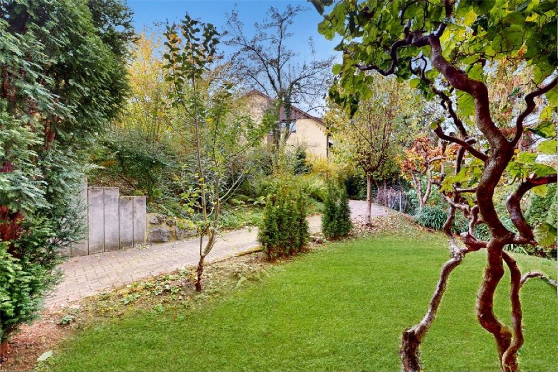 Gepflegter Garten mit Weg und altem Baumbestand