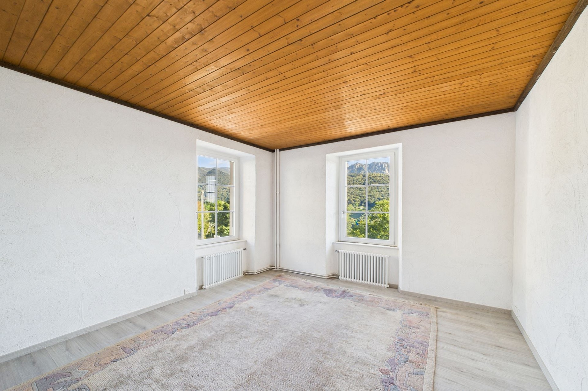 Heller Raum mit Holzdecke und Bergblick