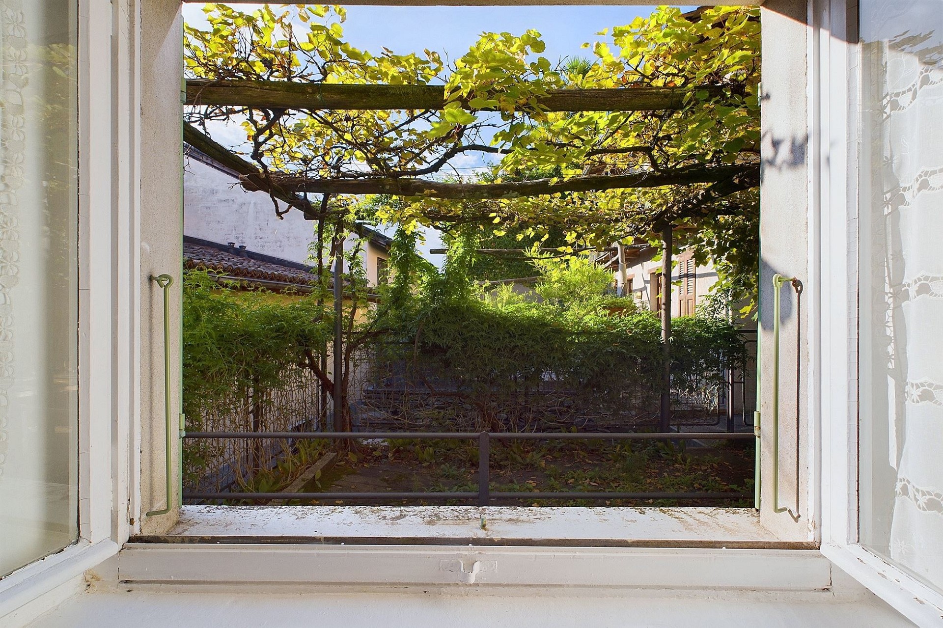Blick aus einem geöffneten Fenster in einen begrünten Innenhof