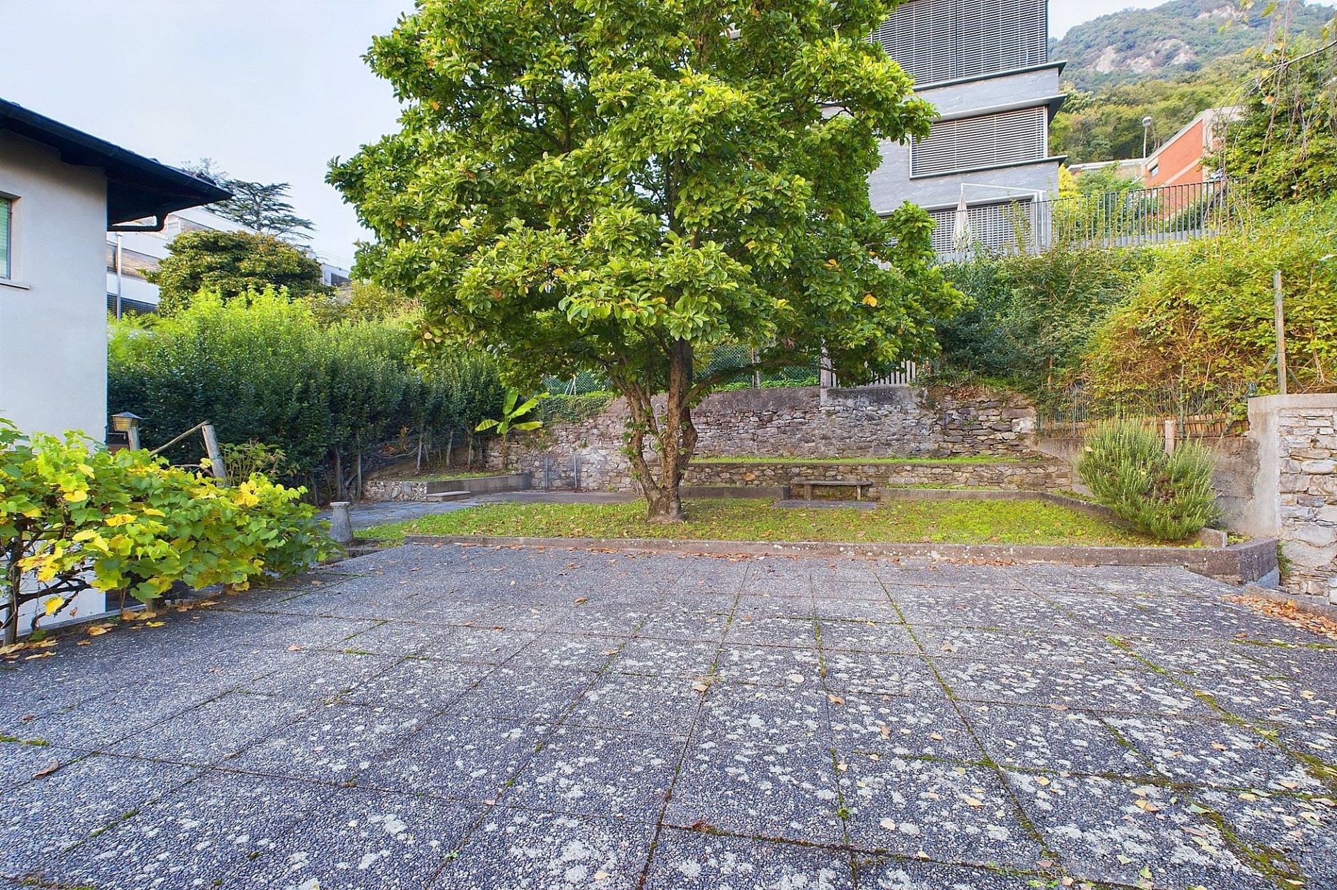 Gepflegter Garten mit Terrasse und Blick auf Nachbargebäude