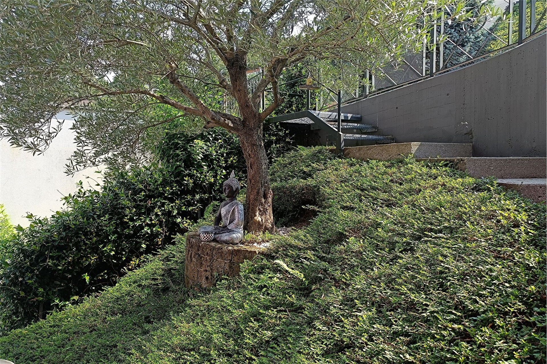 Terrassengarten mit Buddha-Statue
