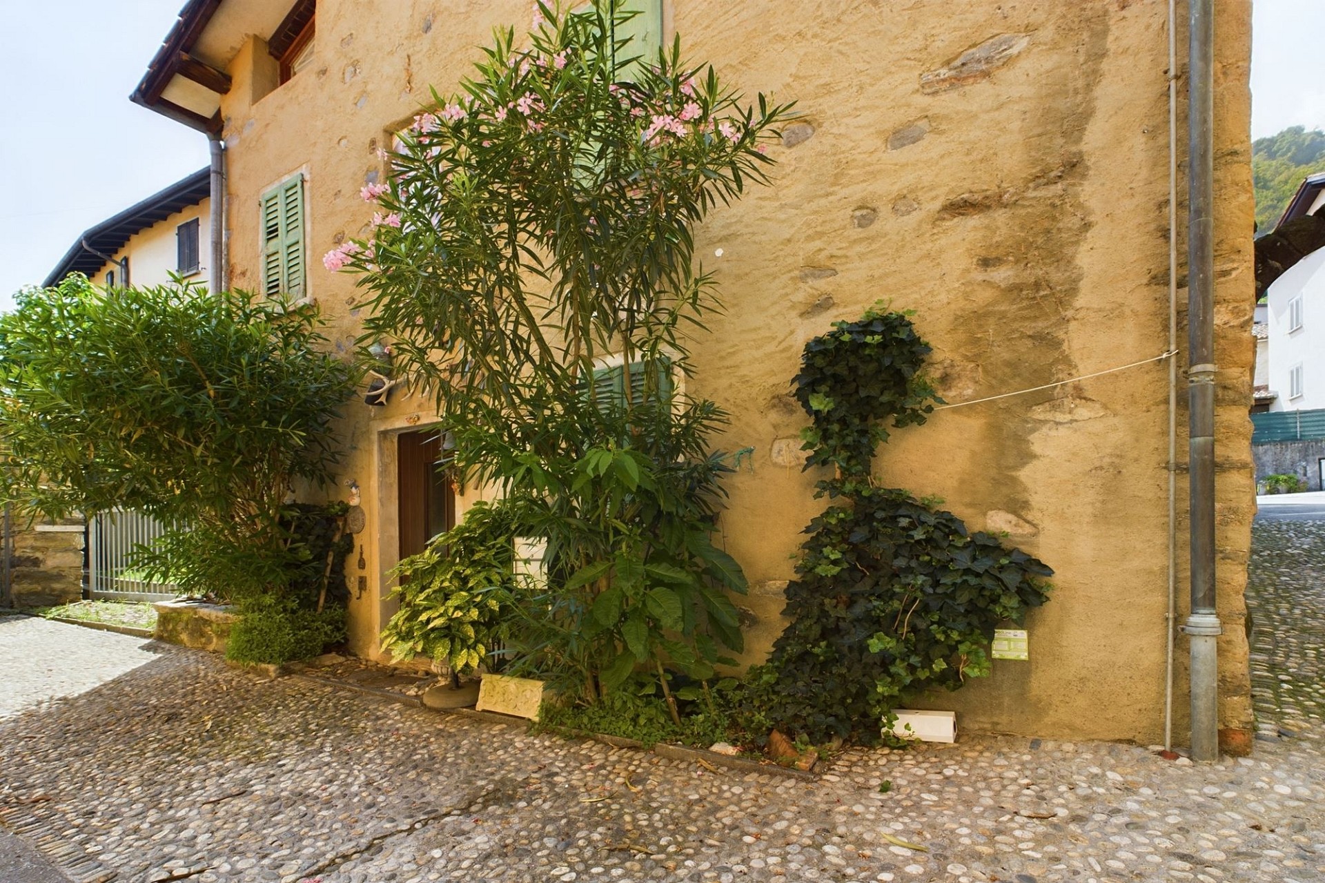 Historische Hausfassade mit Begrünung