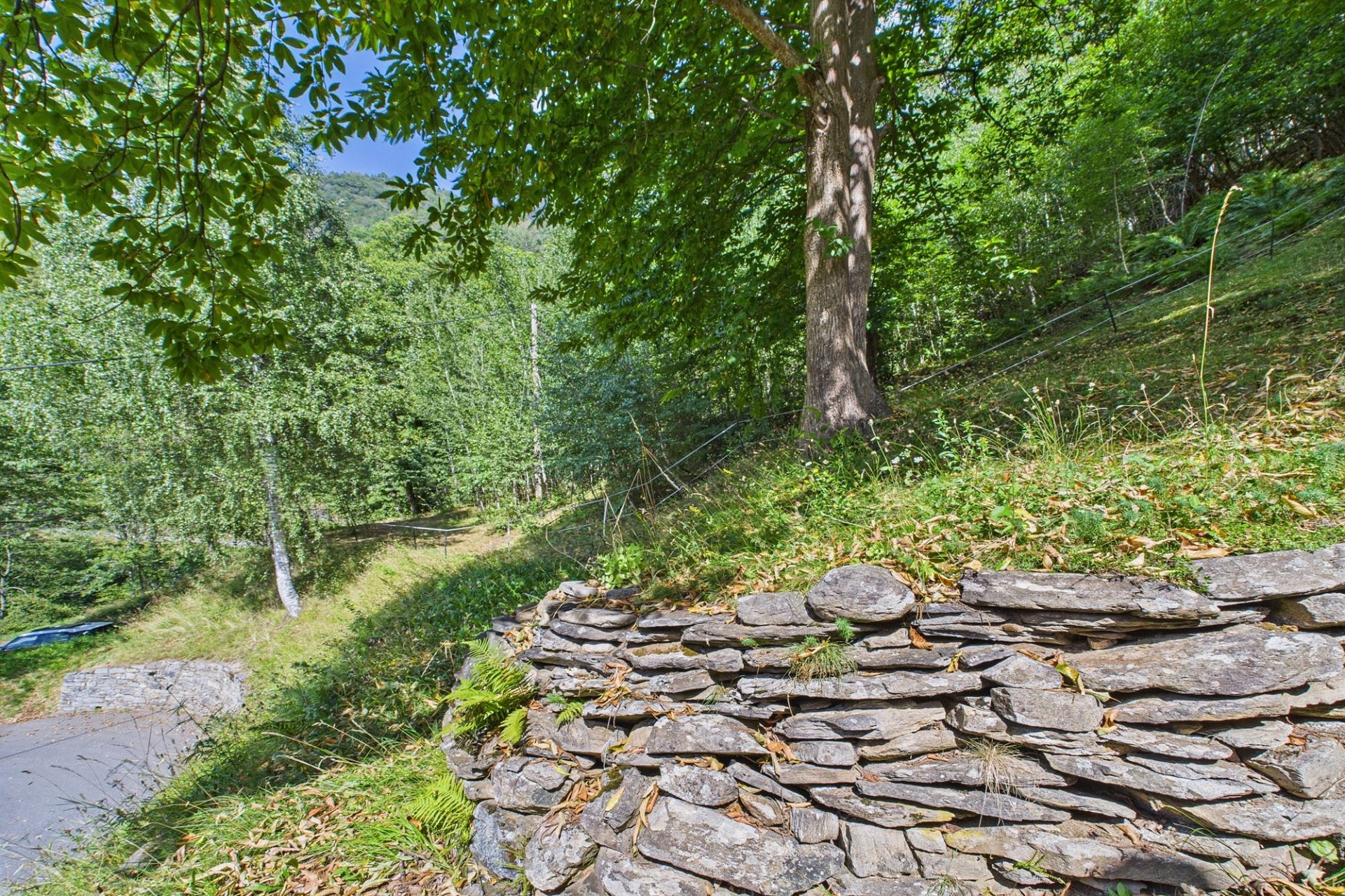 Bewaldetes Hanggrundstück mit Natursteinmauer