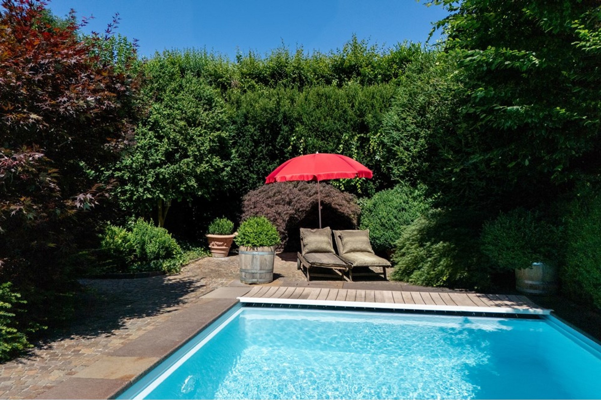 Garten mit Pool und Liegefläche