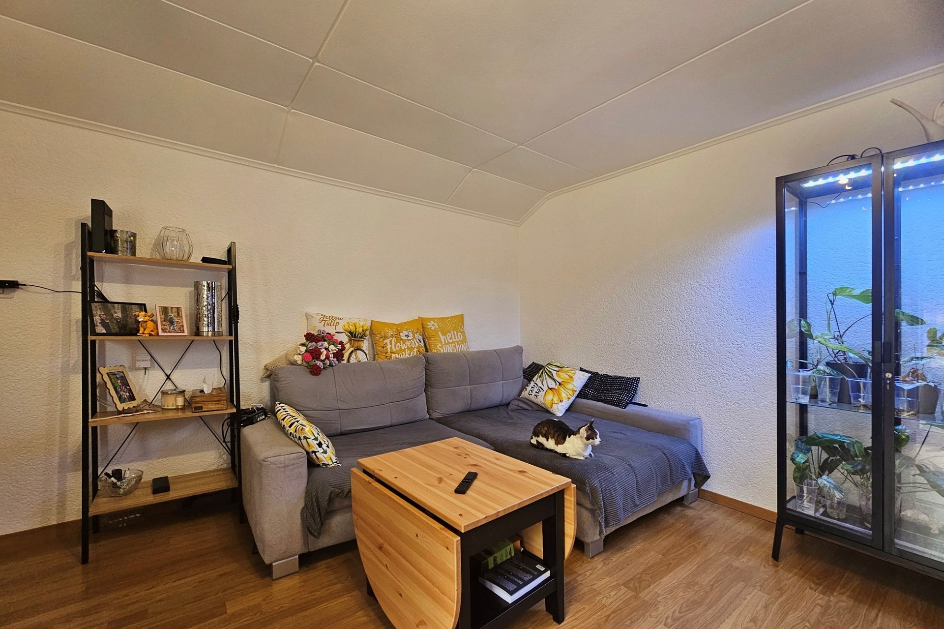 Gemütliches Wohnzimmer mit Sofa und Glasvitrine