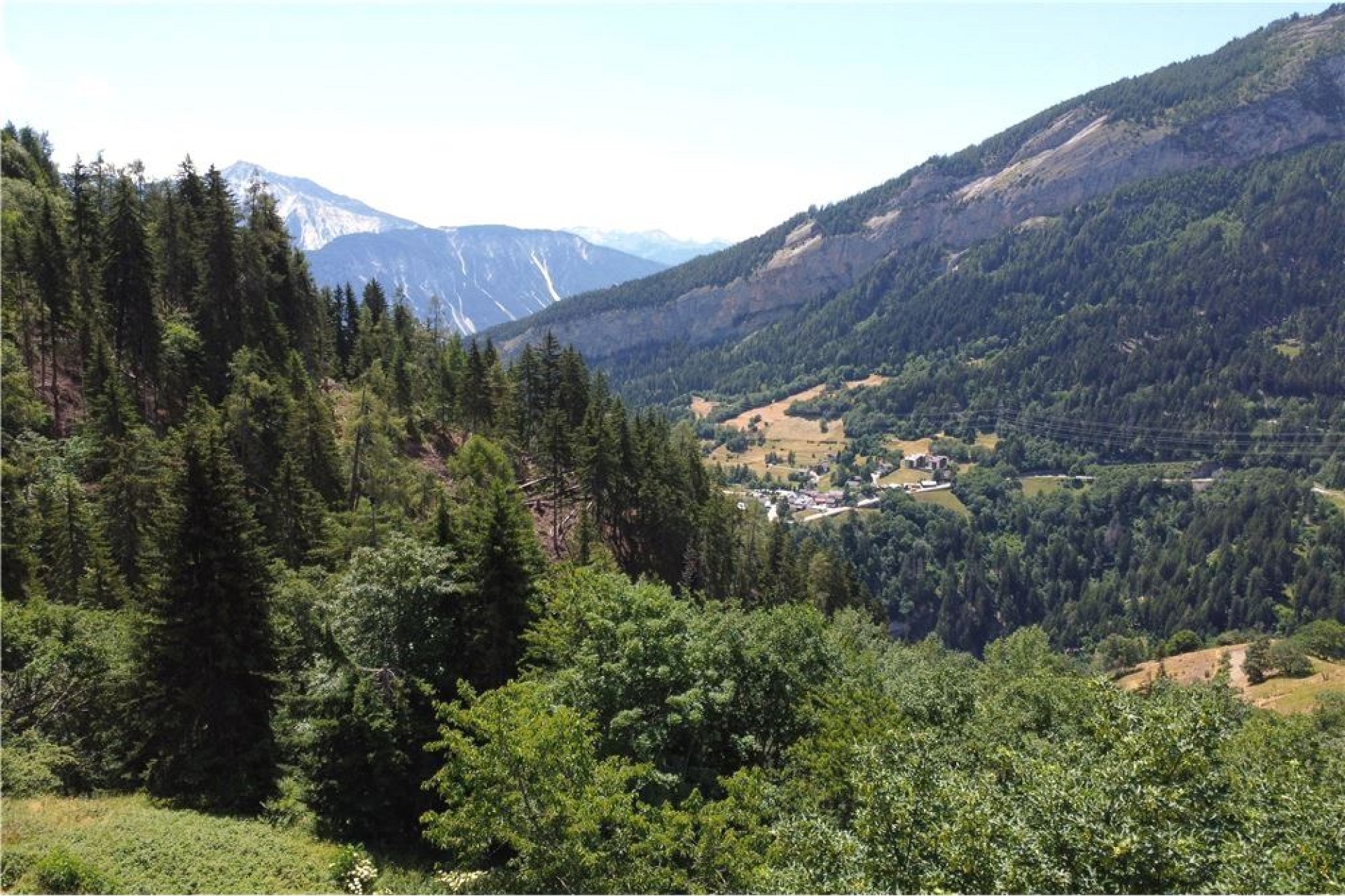 Bergtal mit Wald und Alpenblick
