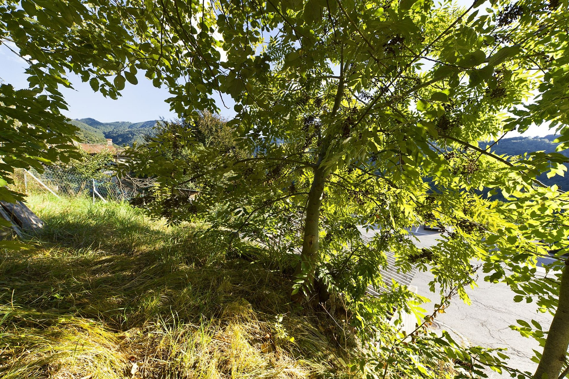 Bewaldetes Hanggrundstück mit Bergblick