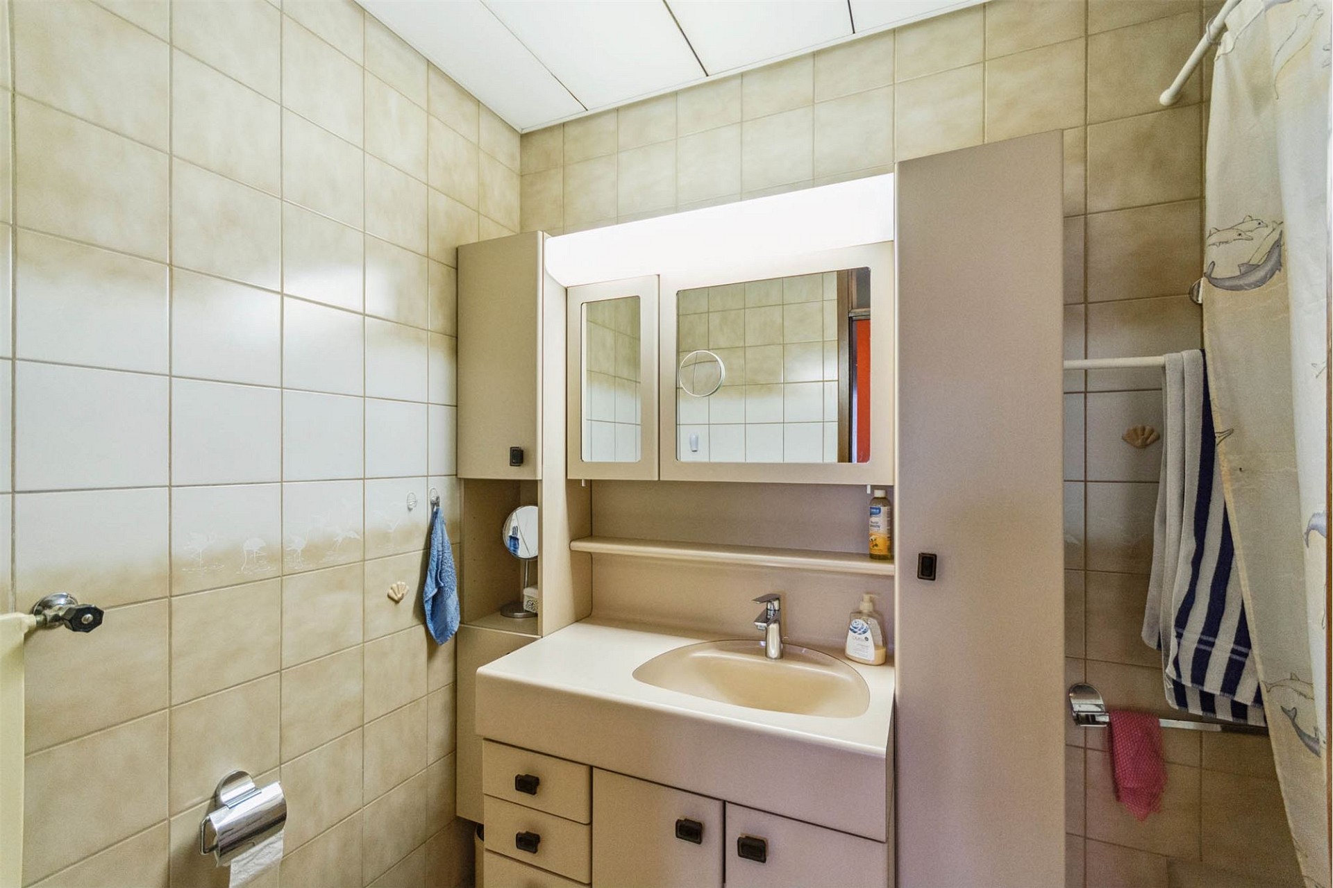 Kleines Badezimmer mit Waschtisch und Spiegelschrank