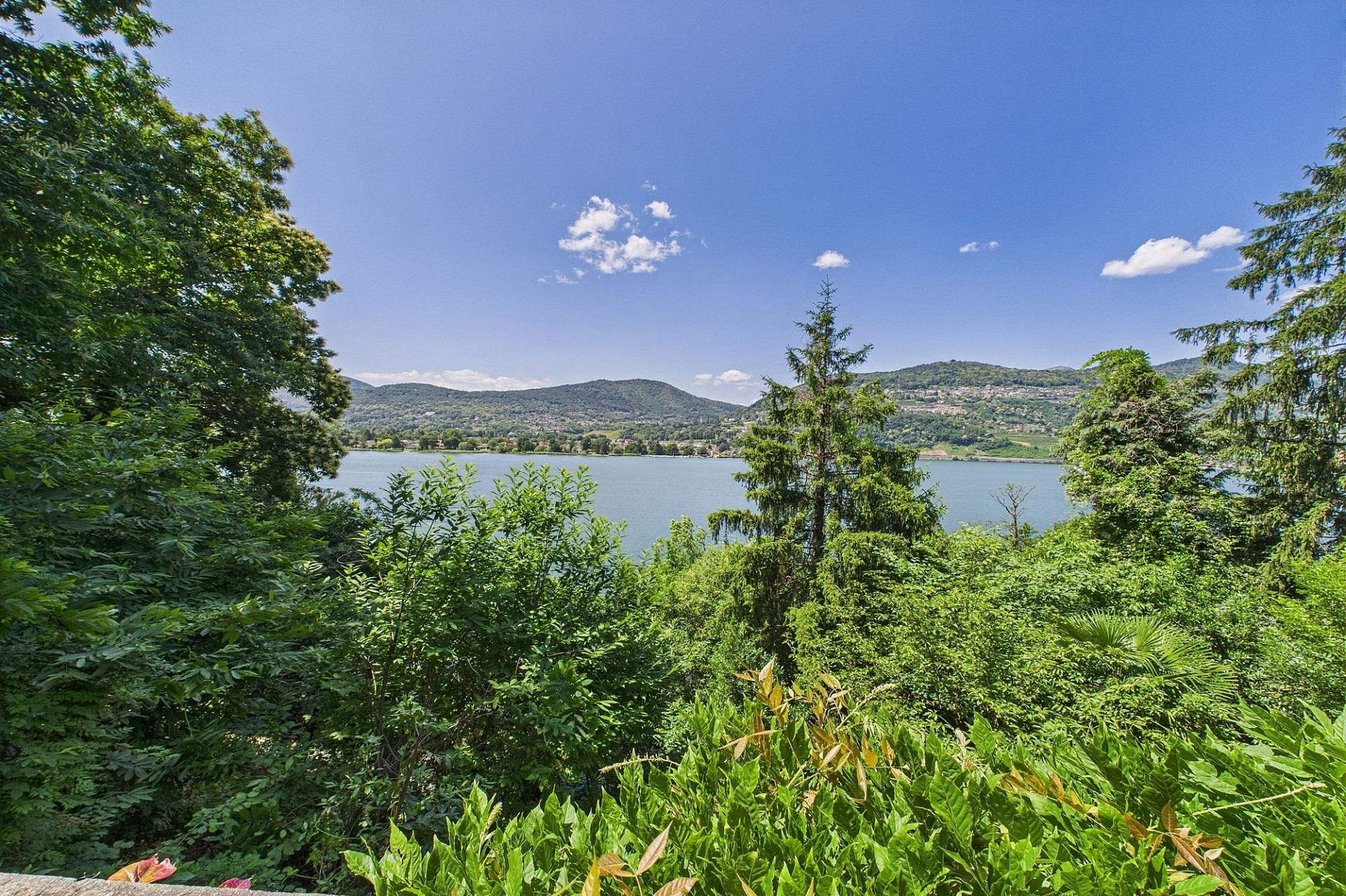 Seeblick über üppige Vegetation