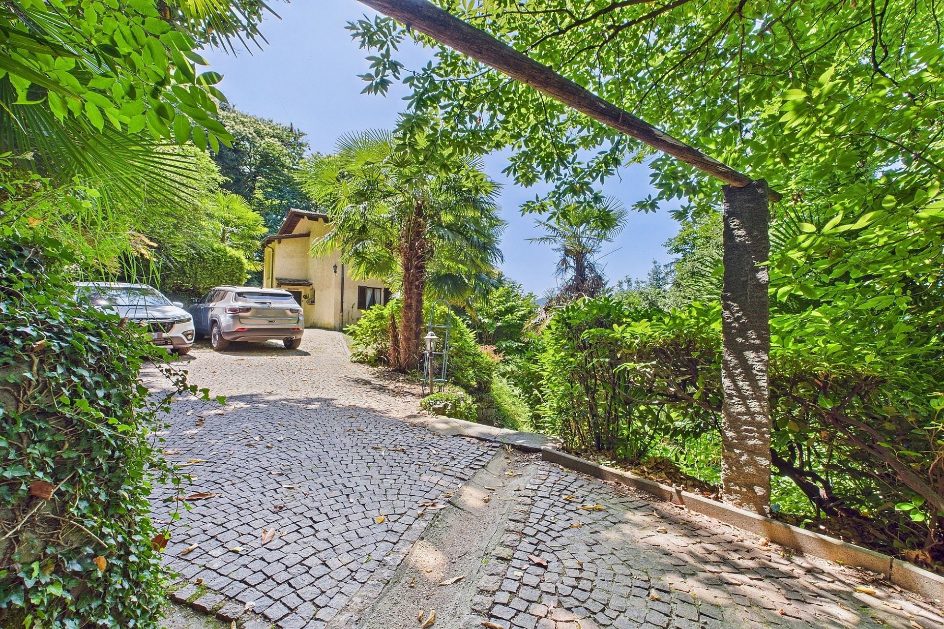 Zufahrt zu einem tropischen Haus mit üppiger Bepflanzung