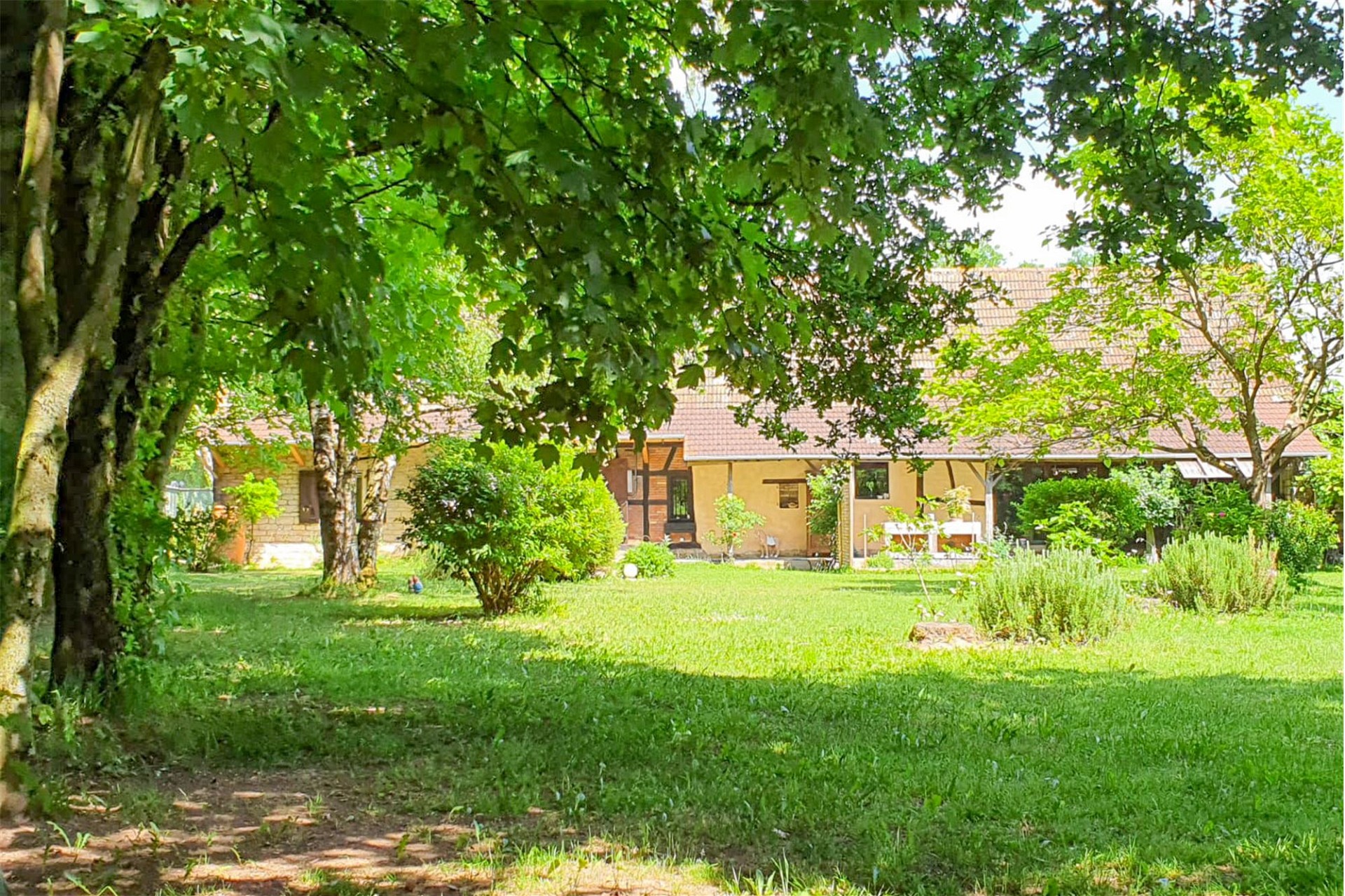 Großer Garten mit Wohnhaus im Hintergrund