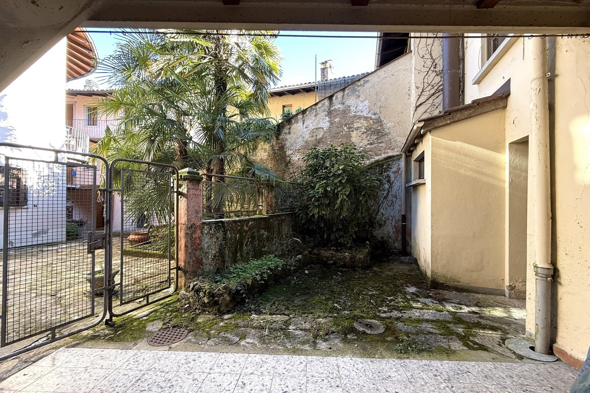 Innenhof mit Tor und tropischer Bepflanzung