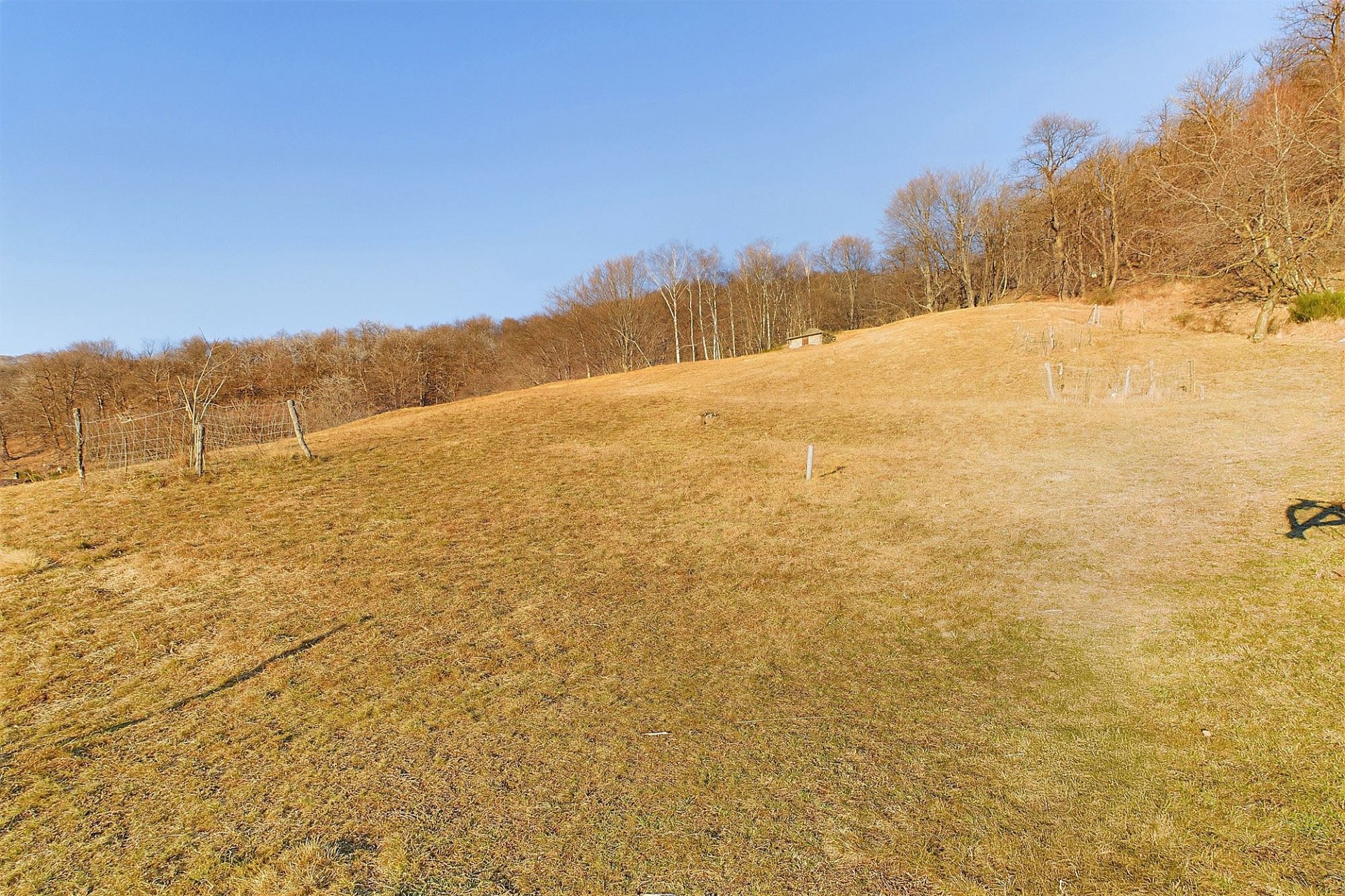Ländliche Wiese am Hang
