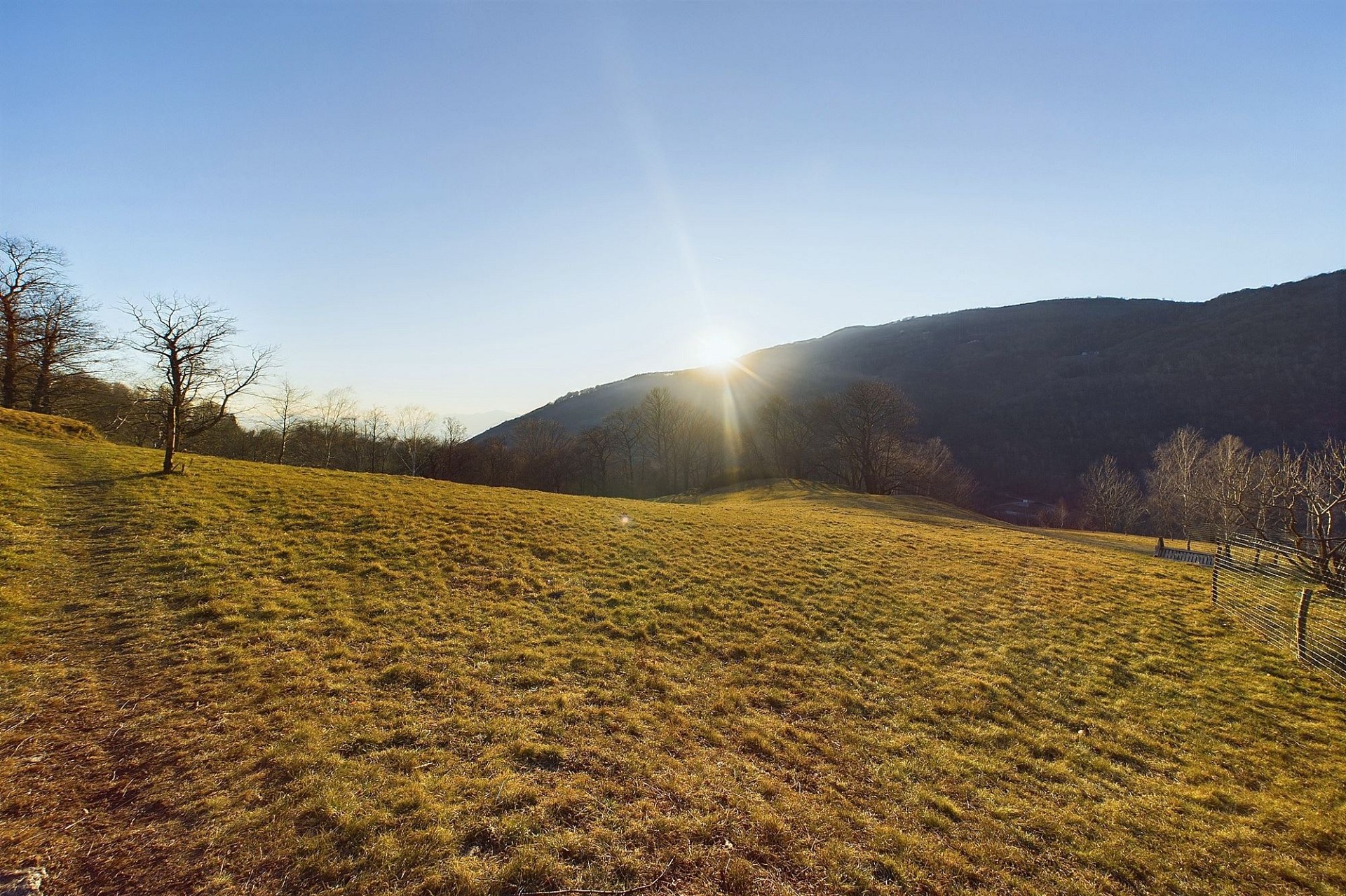 Landschaft mit Wiese und Bergblick