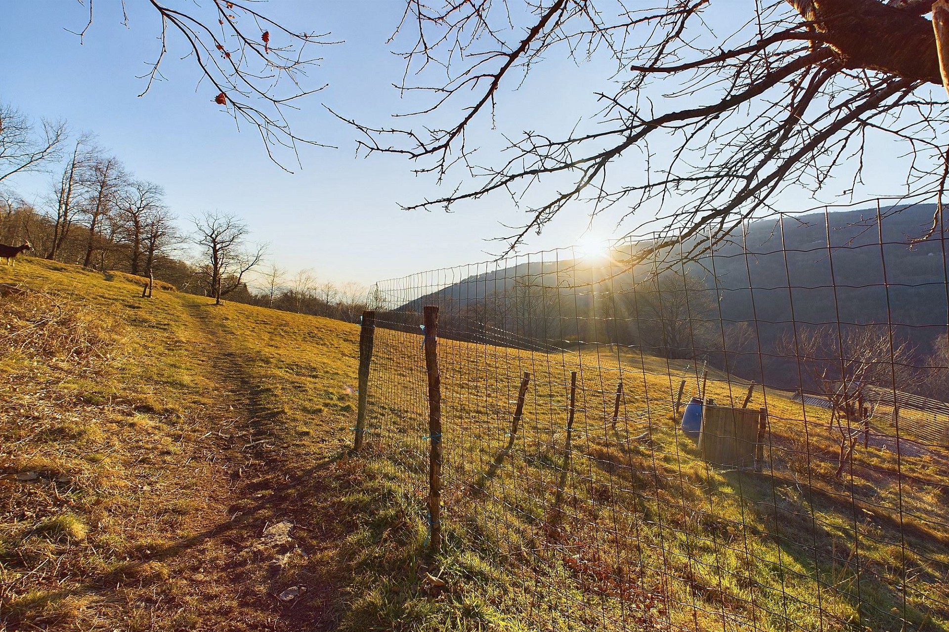 Ländliche Hangwiese mit Zaun und Bergblick