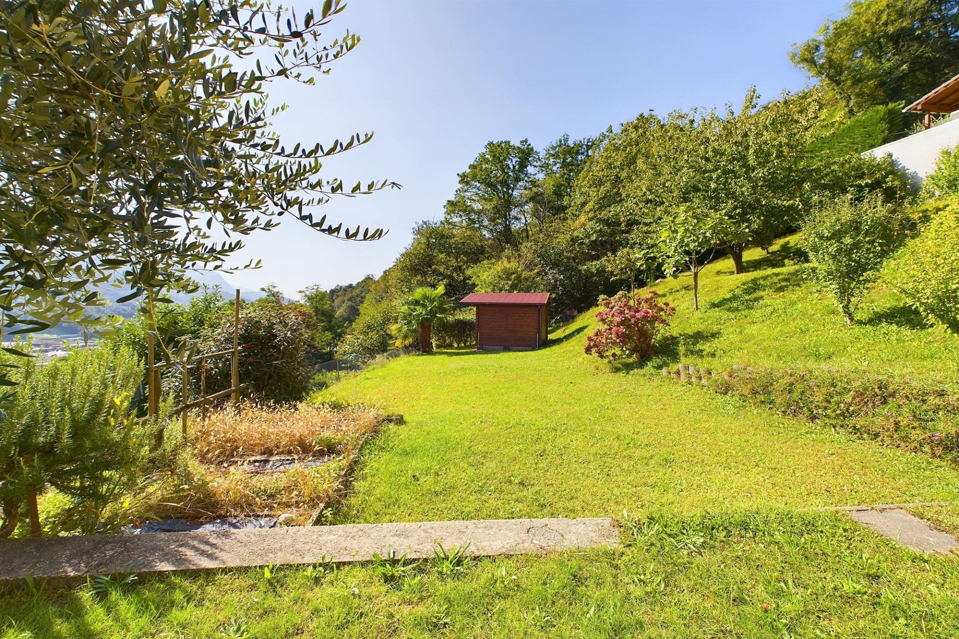 Großer sonniger Garten mit Hanglage