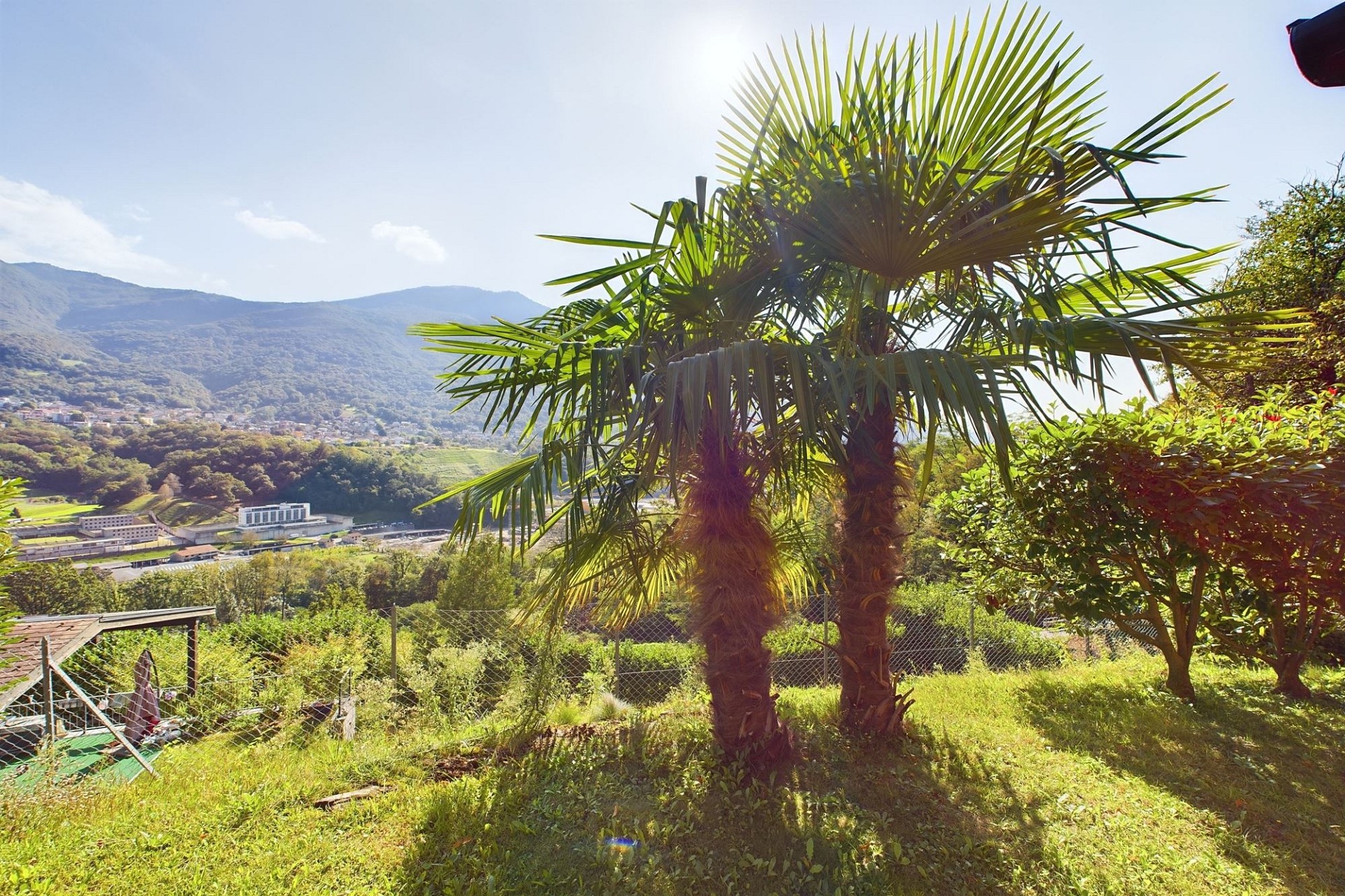 Tropischer Garten mit Panoramablick