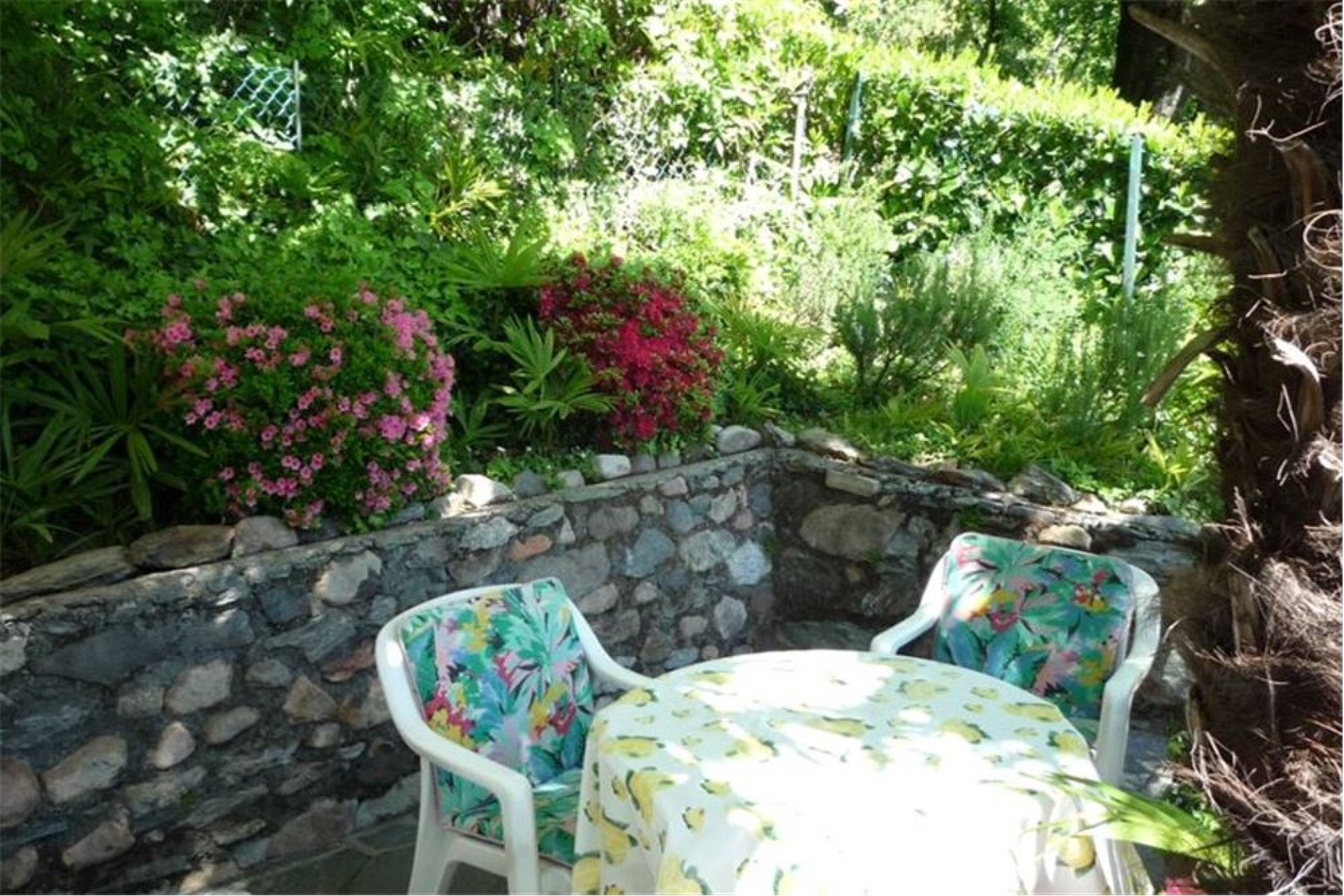 Garten-Sitzbereich mit üppiger Bepflanzung