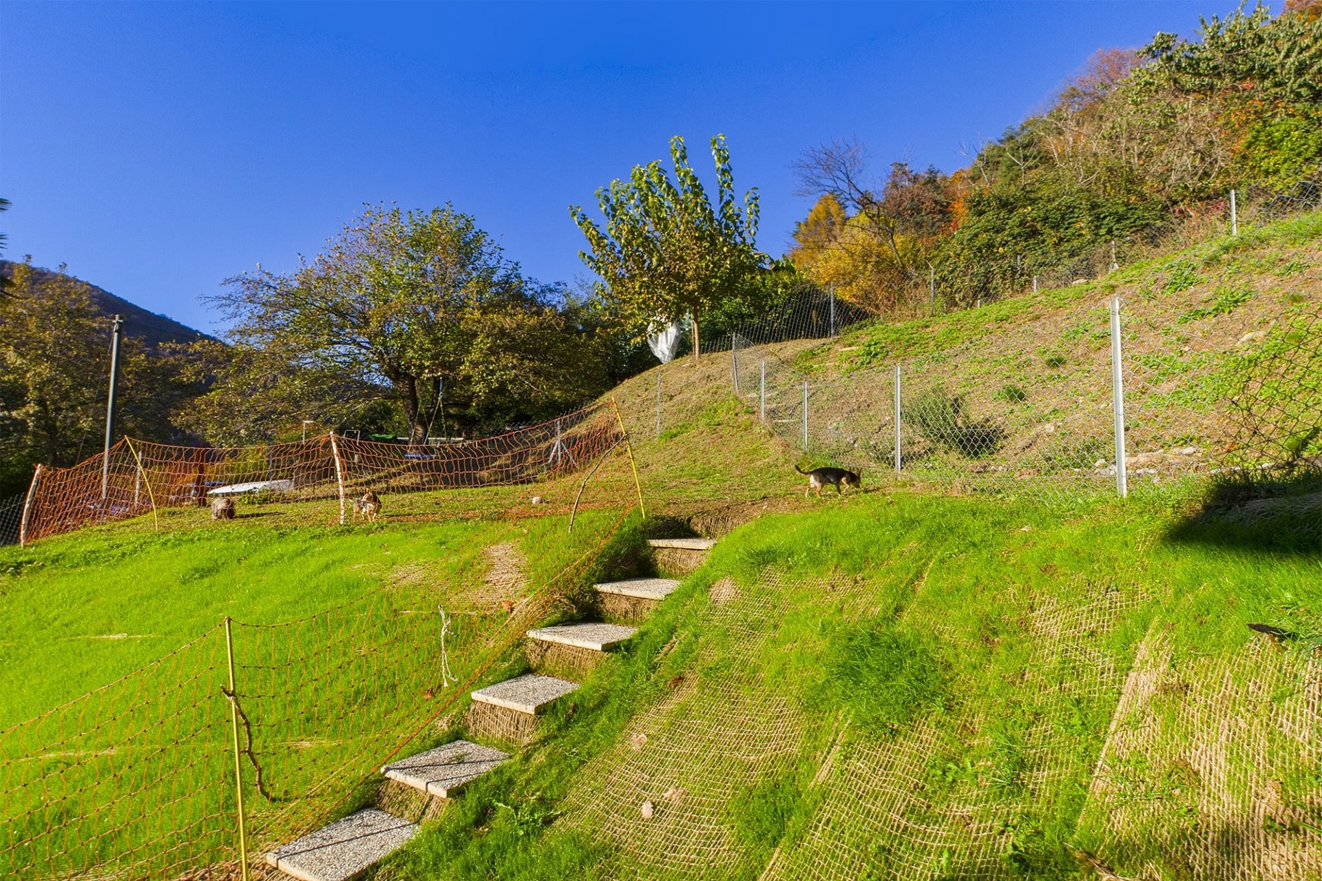 Grüne Hangwiese mit Zäunen und Treppe
