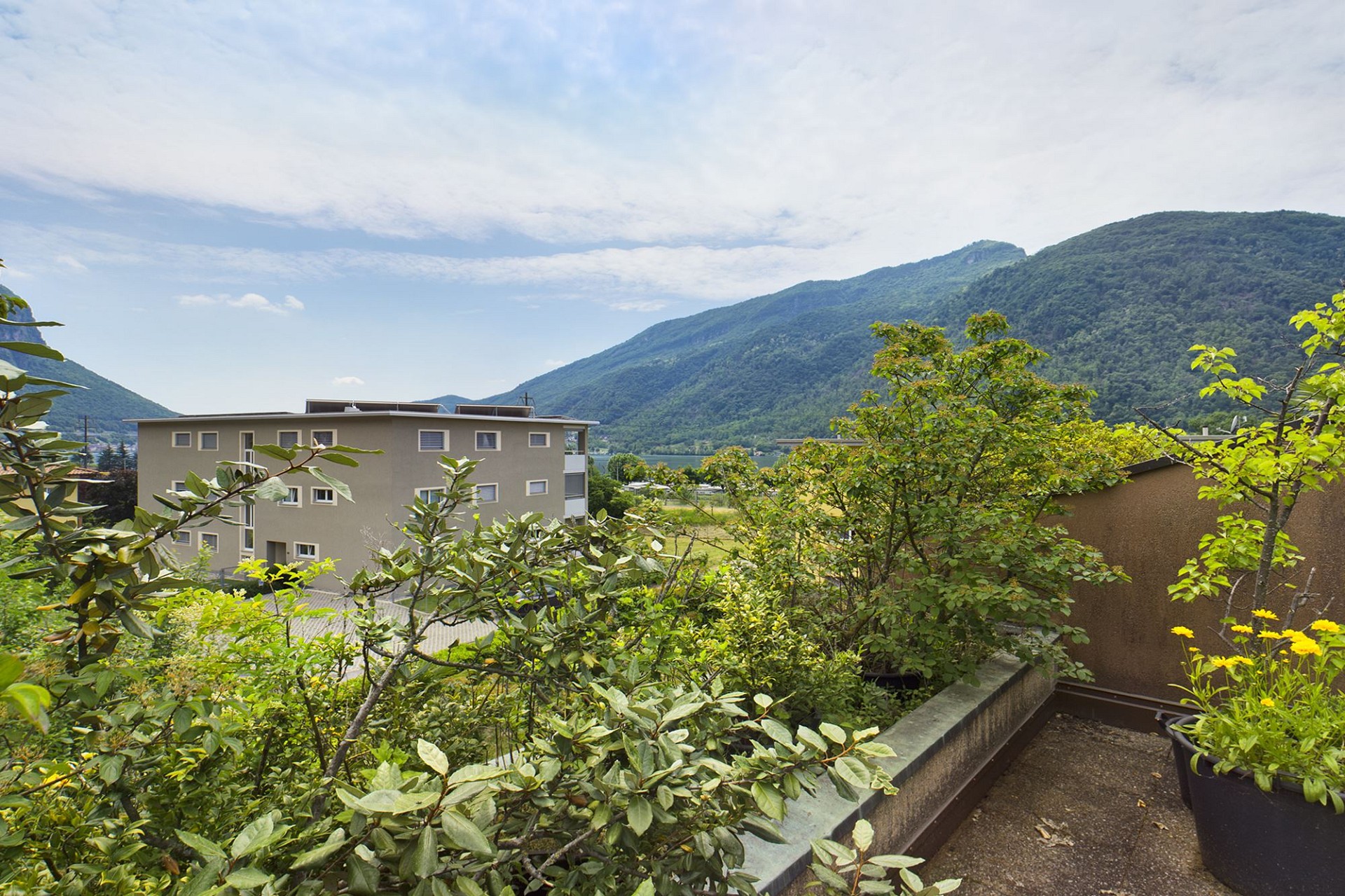 Bergblick von einer Terrasse mit Garten