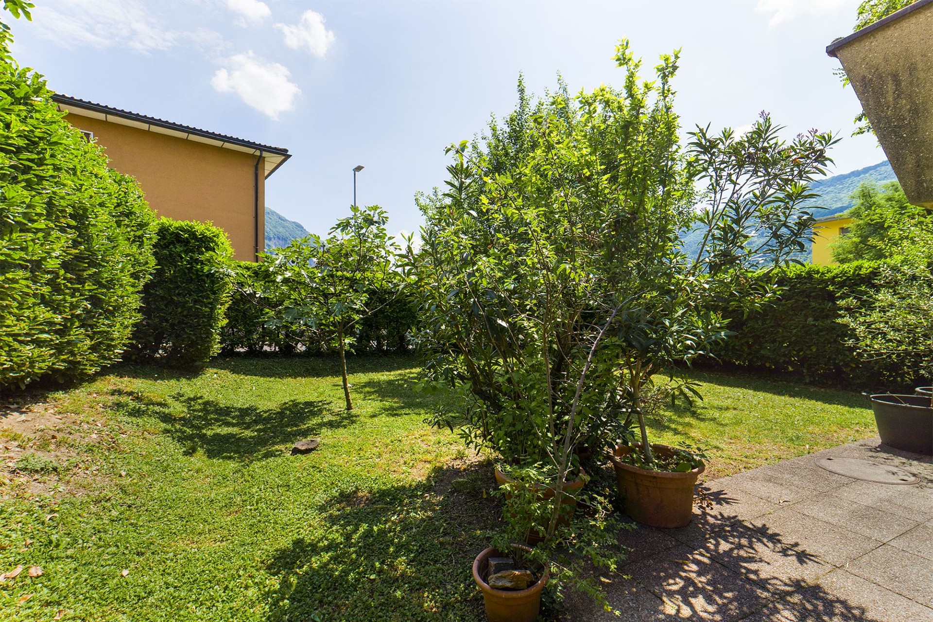 Grüner Garten mit Blick auf Gebäude und Berge