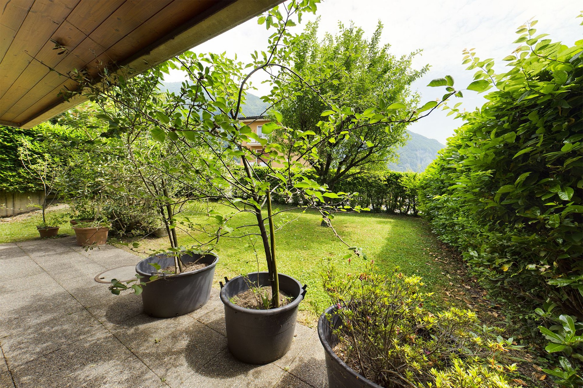 Garten mit Terrasse und Bergblick