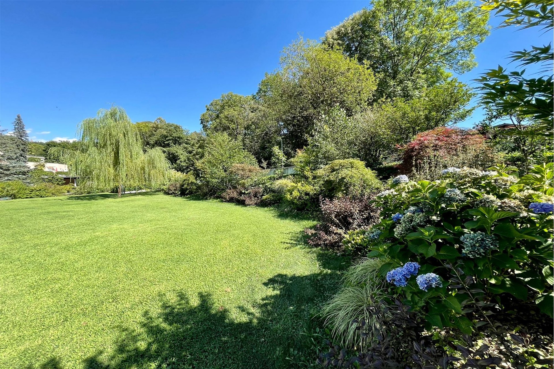 Großer, gepflegter Garten mit Rasen und Zierbepflanzung